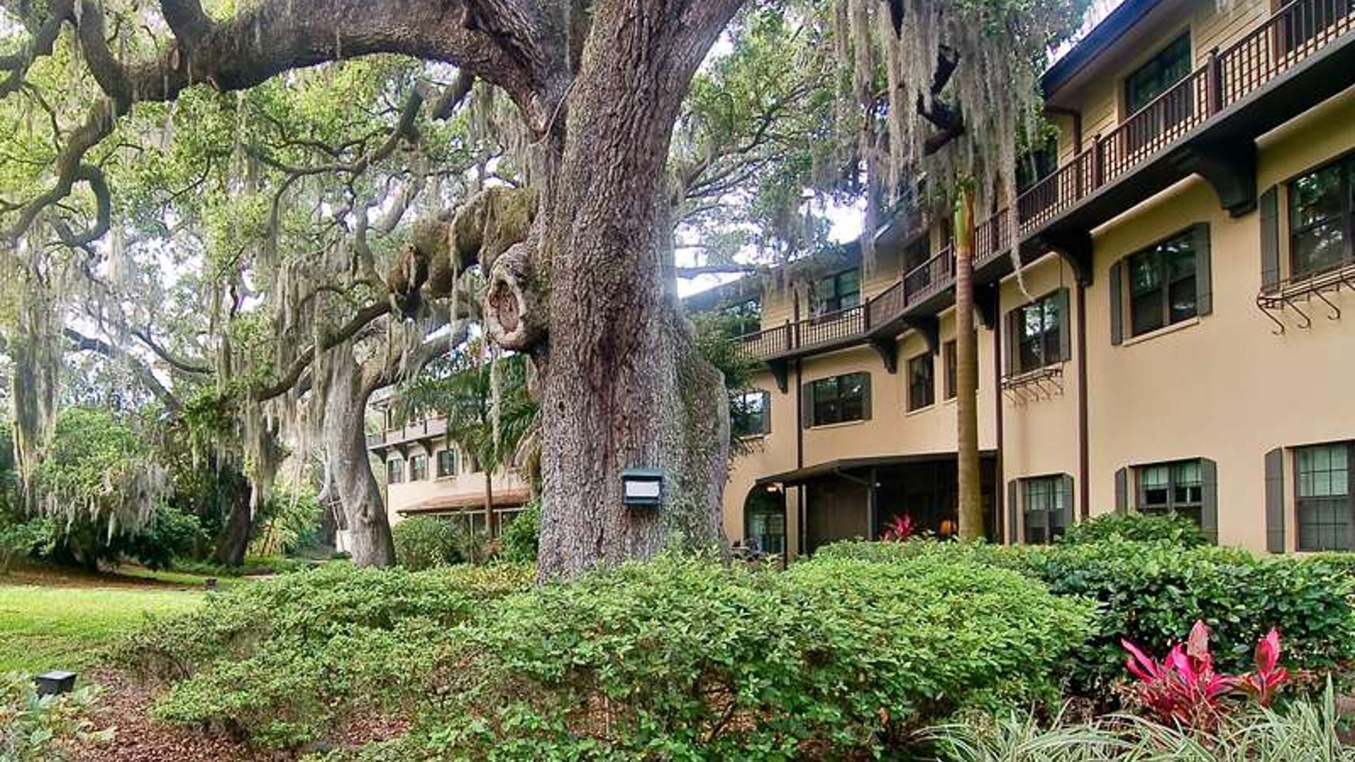 System.Collections.Generic.List`1[AFS.Common.Models.Photo] - Image 2