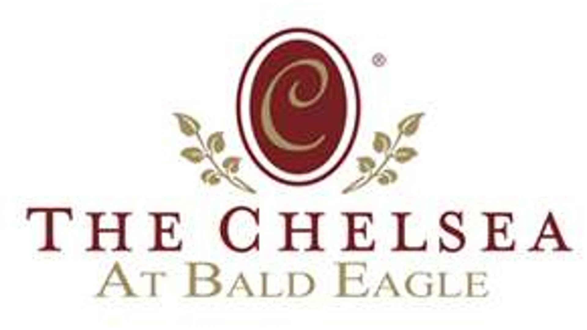 System.Collections.Generic.List`1[AFS.Common.Models.Photo] - Image 1