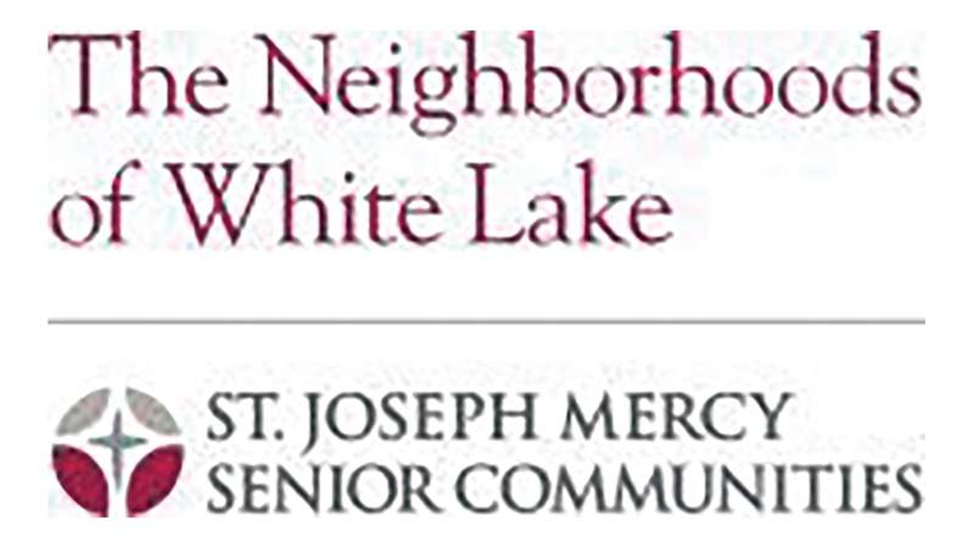 System.Collections.Generic.List`1[AFS.Common.Models.Photo] - Image 1