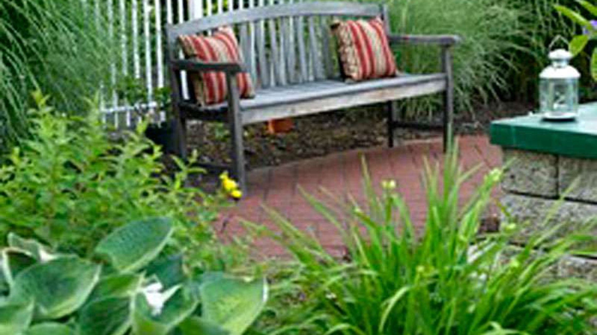 System.Collections.Generic.List`1[AFS.Common.Models.Photo] - Image 4