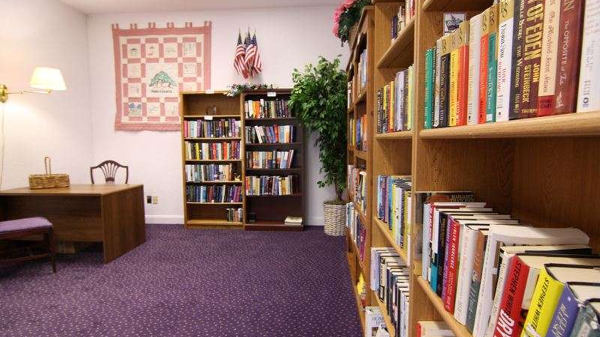 System.Collections.Generic.List`1[AFS.Common.Models.Photo] - Image 4