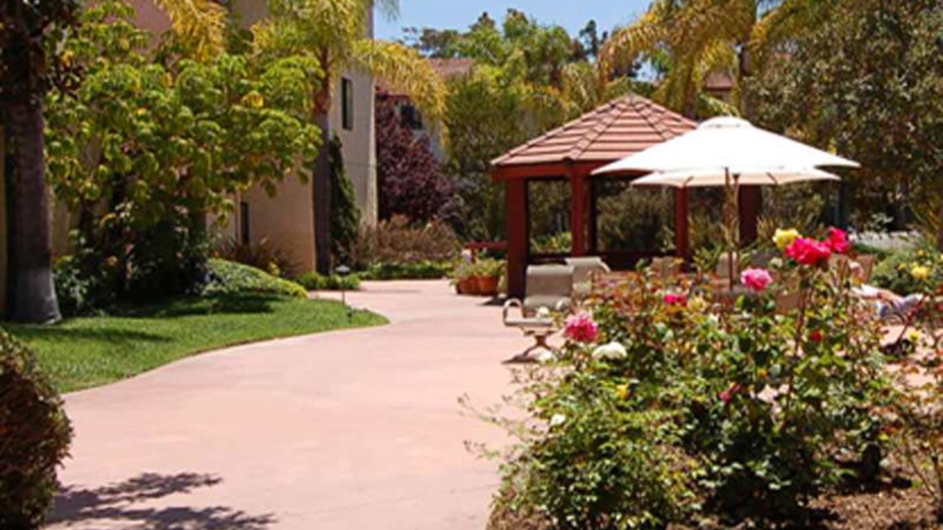 System.Collections.Generic.List`1[AFS.Common.Models.Photo] - Image 4