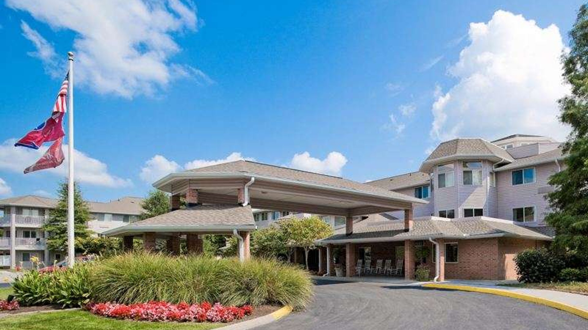 System.Collections.Generic.List`1[AFS.Common.Models.Photo] - Image 1