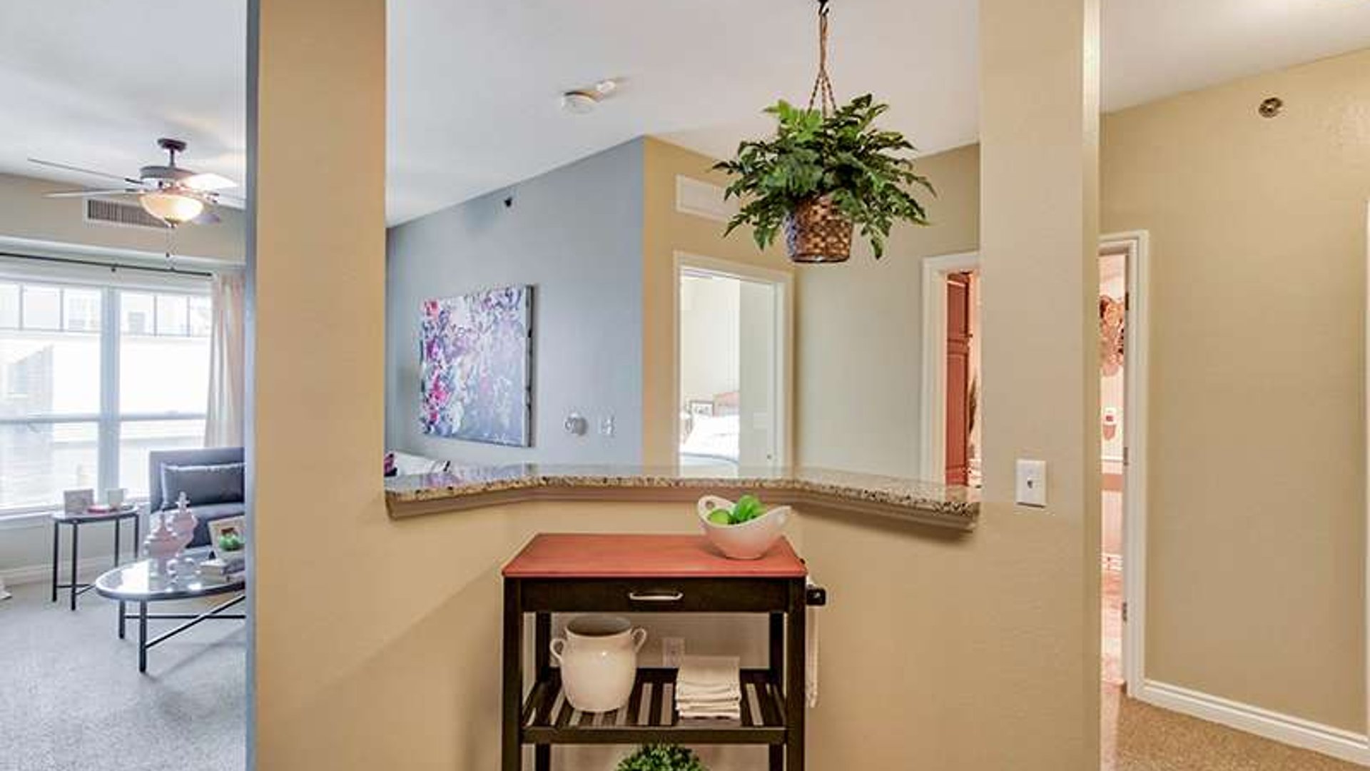 System.Collections.Generic.List`1[AFS.Common.Models.Photo] - Image 6