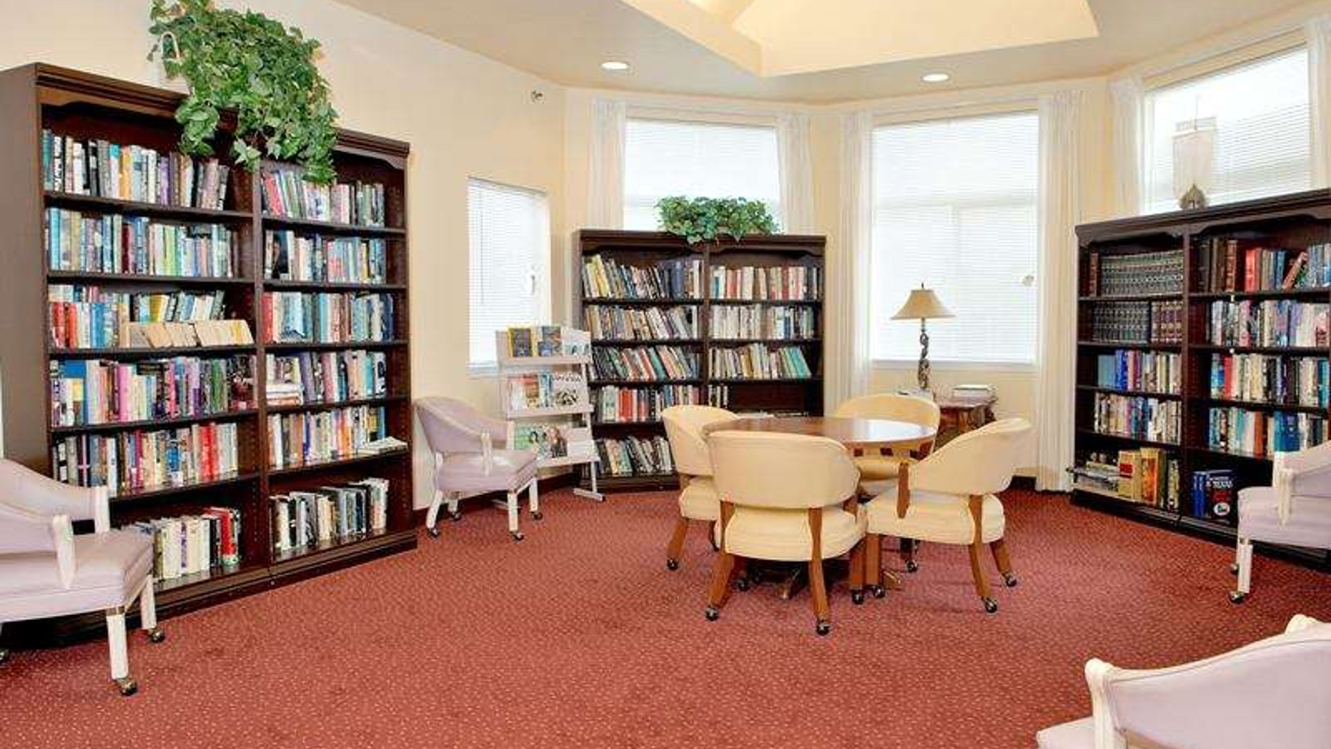 System.Collections.Generic.List`1[AFS.Common.Models.Photo] - Image 4