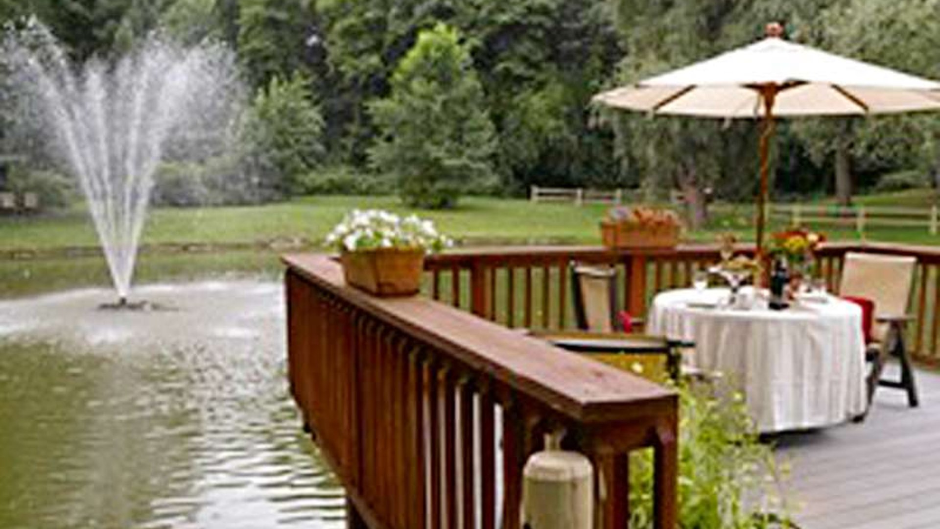 System.Collections.Generic.List`1[AFS.Common.Models.Photo] - Image 2