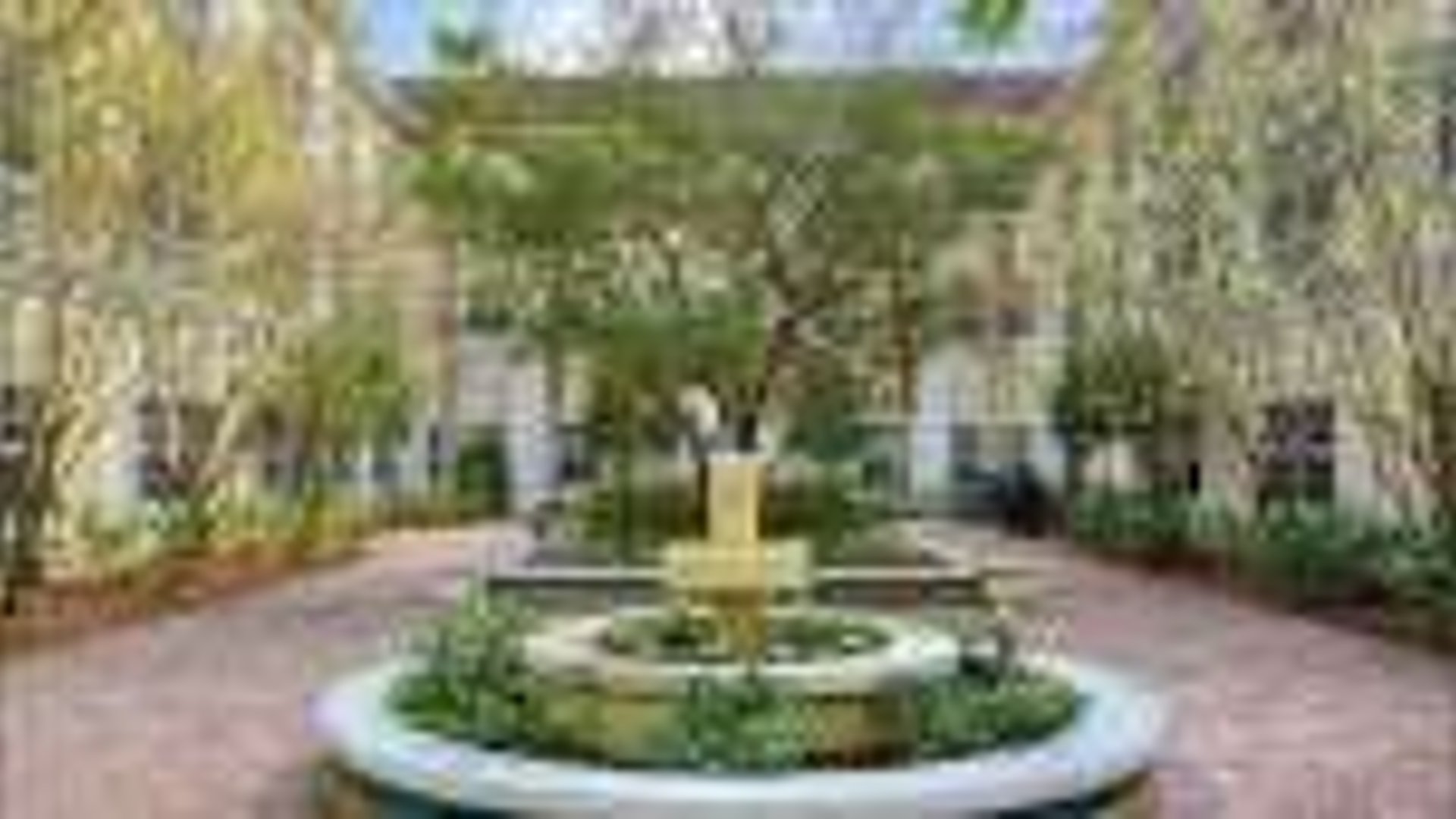 System.Collections.Generic.List`1[AFS.Common.Models.Photo] - Image 1