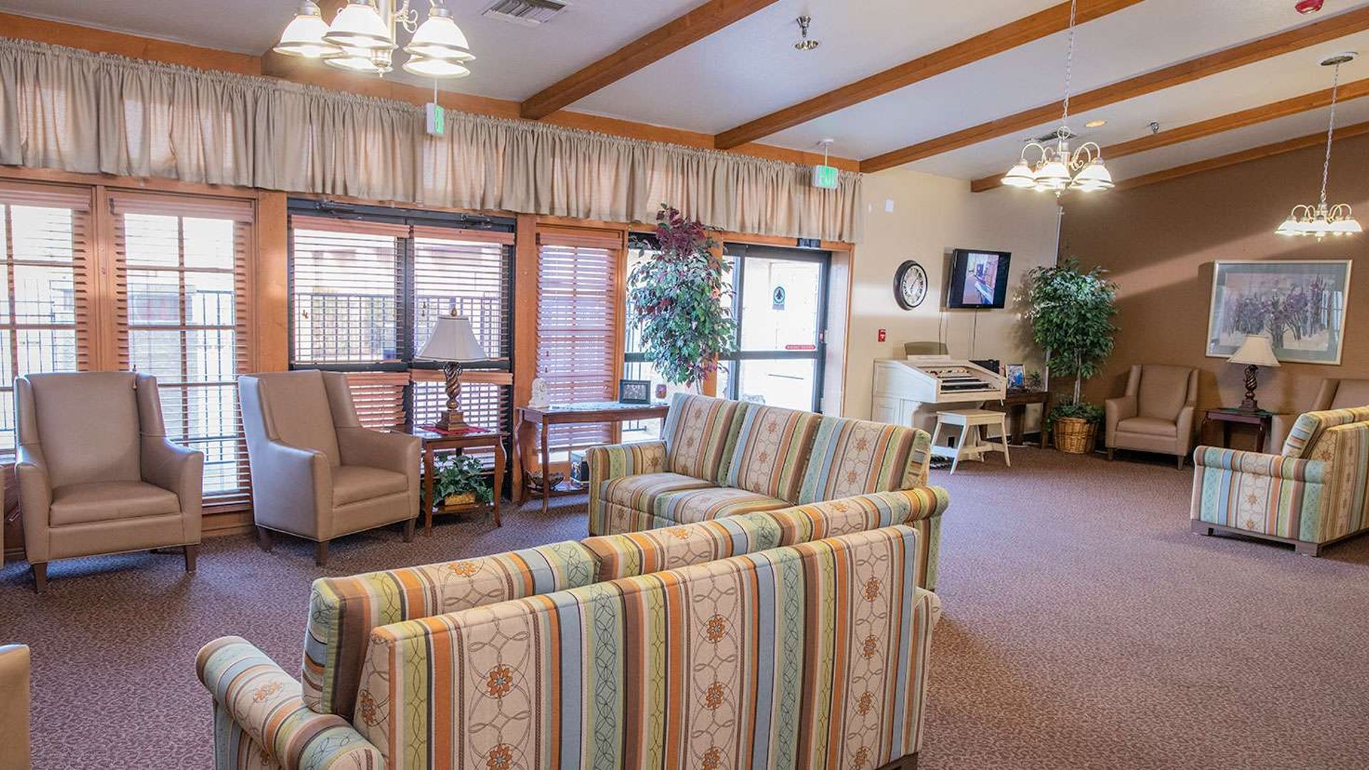 System.Collections.Generic.List`1[AFS.Common.Models.Photo] - Image 3