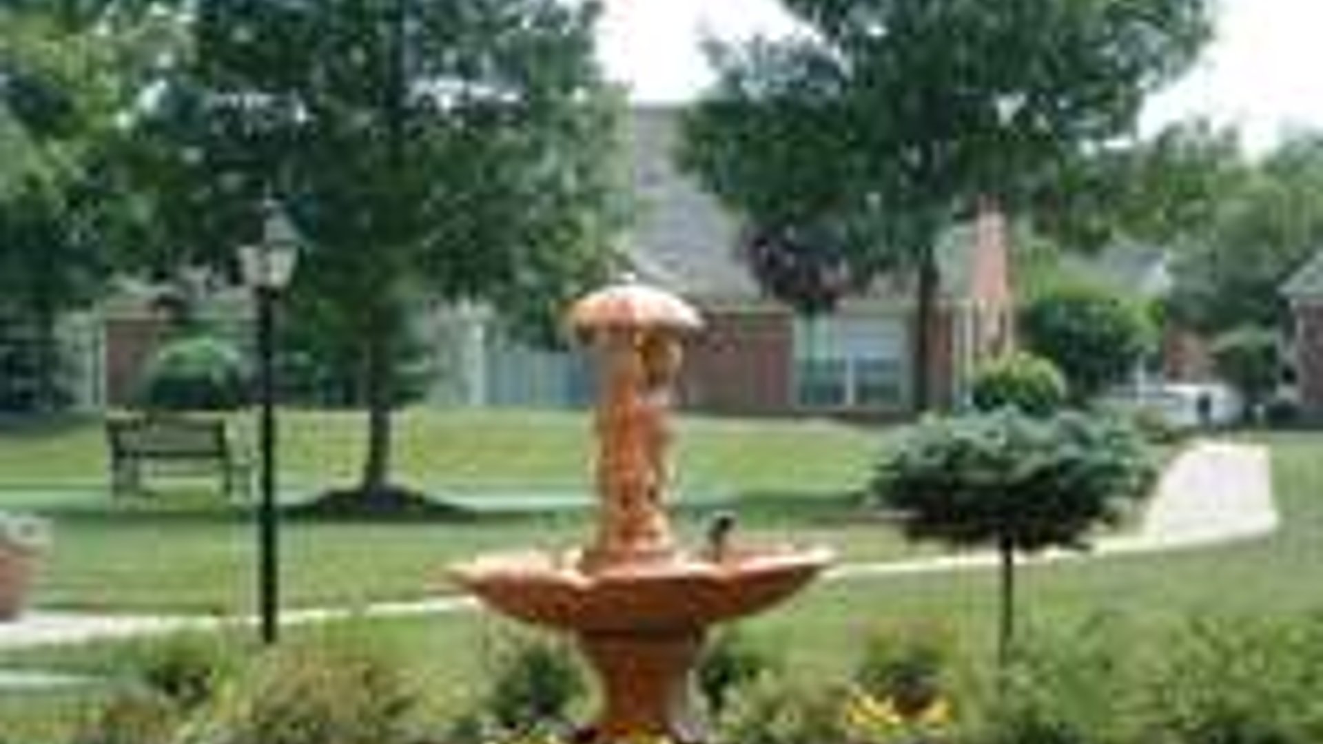 System.Collections.Generic.List`1[AFS.Common.Models.Photo] - Image 1