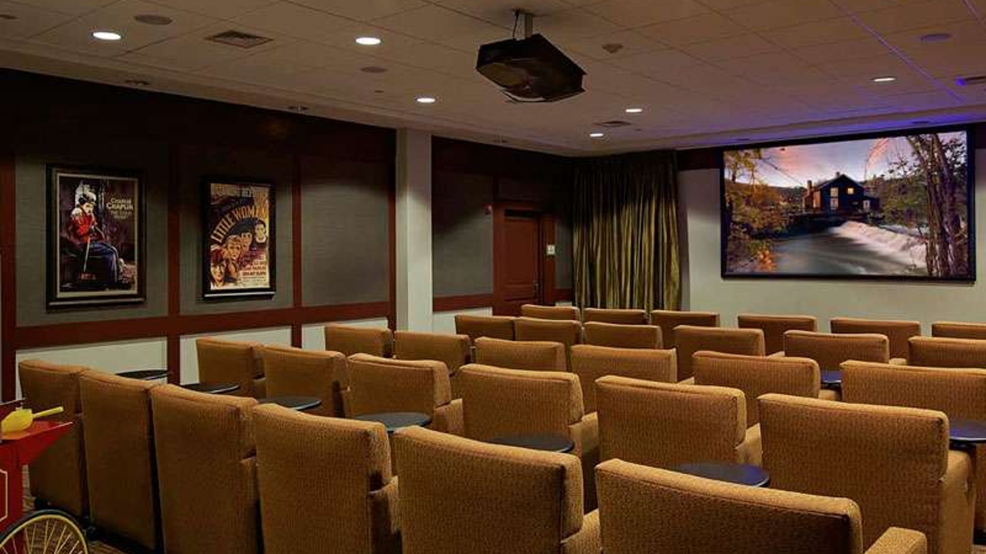 System.Collections.Generic.List`1[AFS.Common.Models.Photo] - Image 1