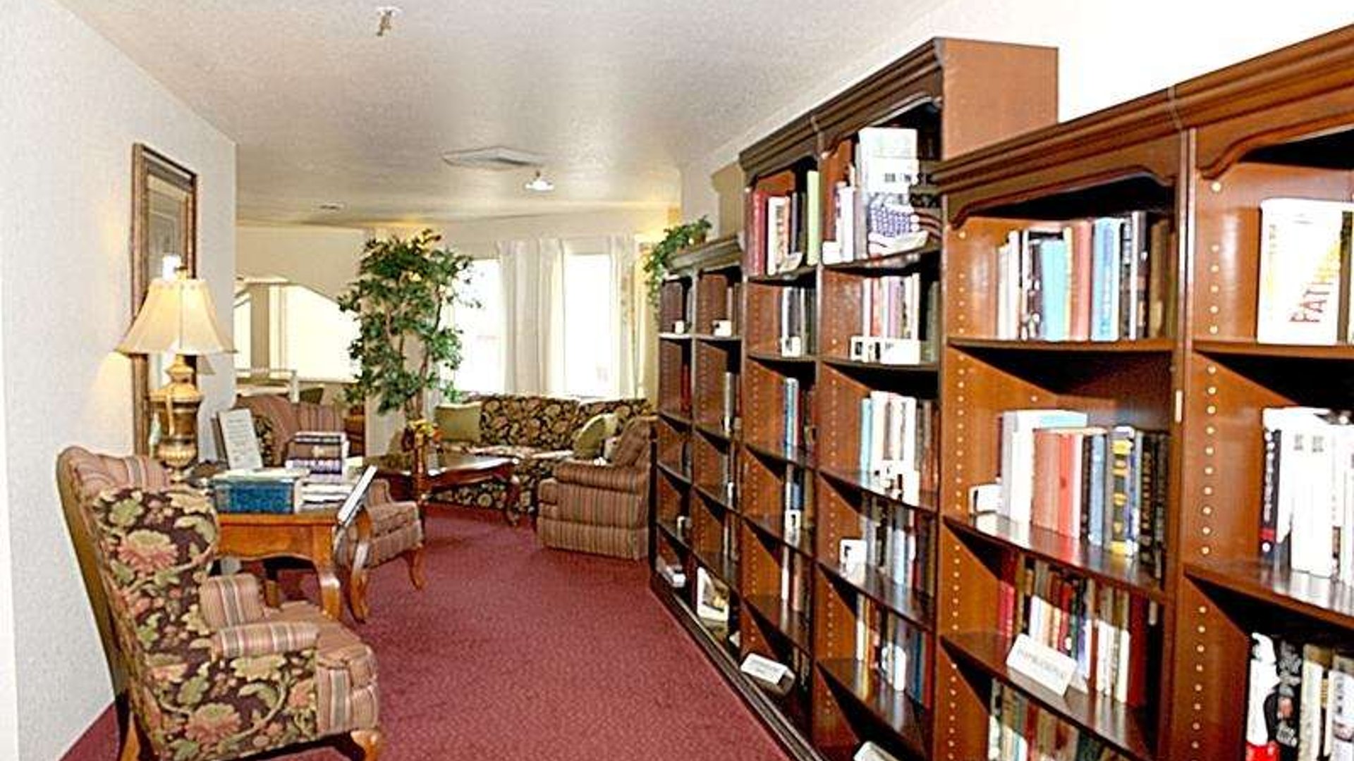 System.Collections.Generic.List`1[AFS.Common.Models.Photo] - Image 4