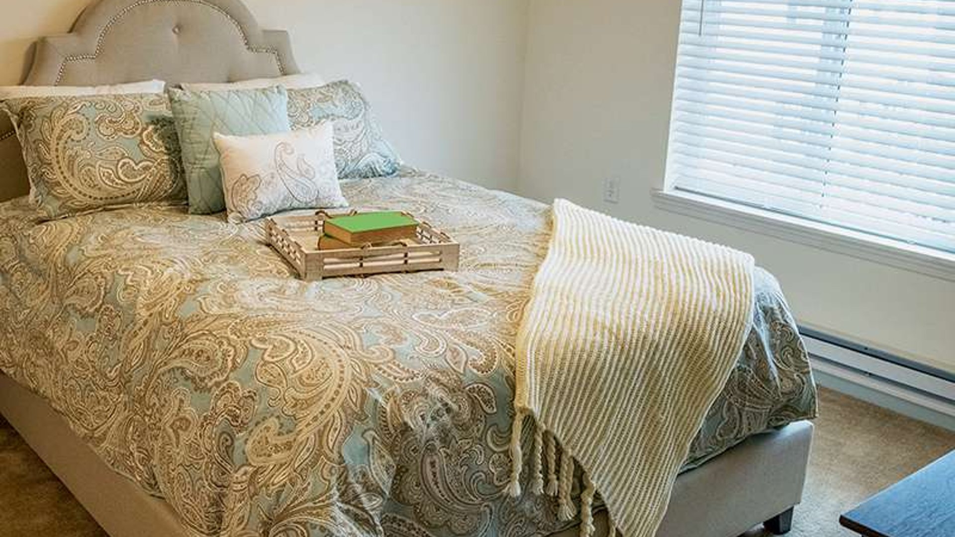 System.Collections.Generic.List`1[AFS.Common.Models.Photo] - Image 5