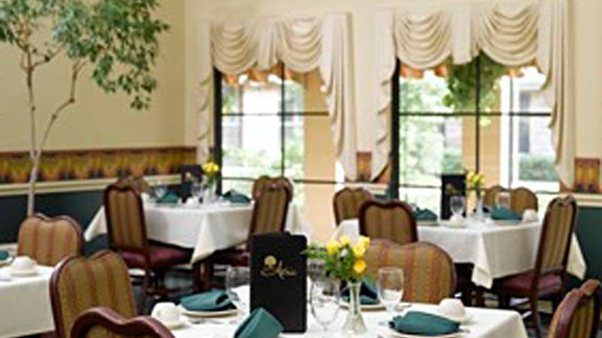 System.Collections.Generic.List`1[AFS.Common.Models.Photo] - Image 6