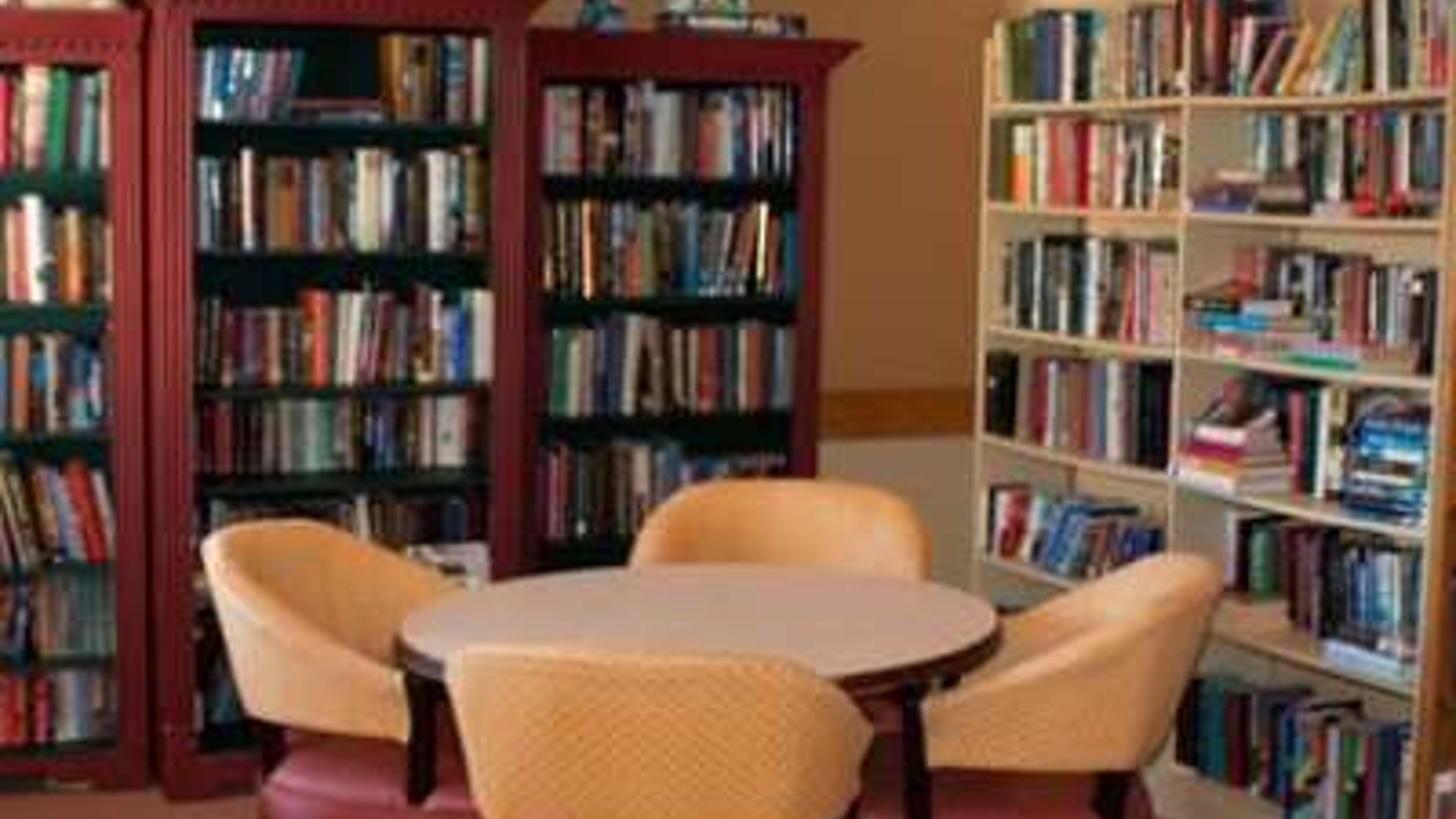 System.Collections.Generic.List`1[AFS.Common.Models.Photo] - Image 3