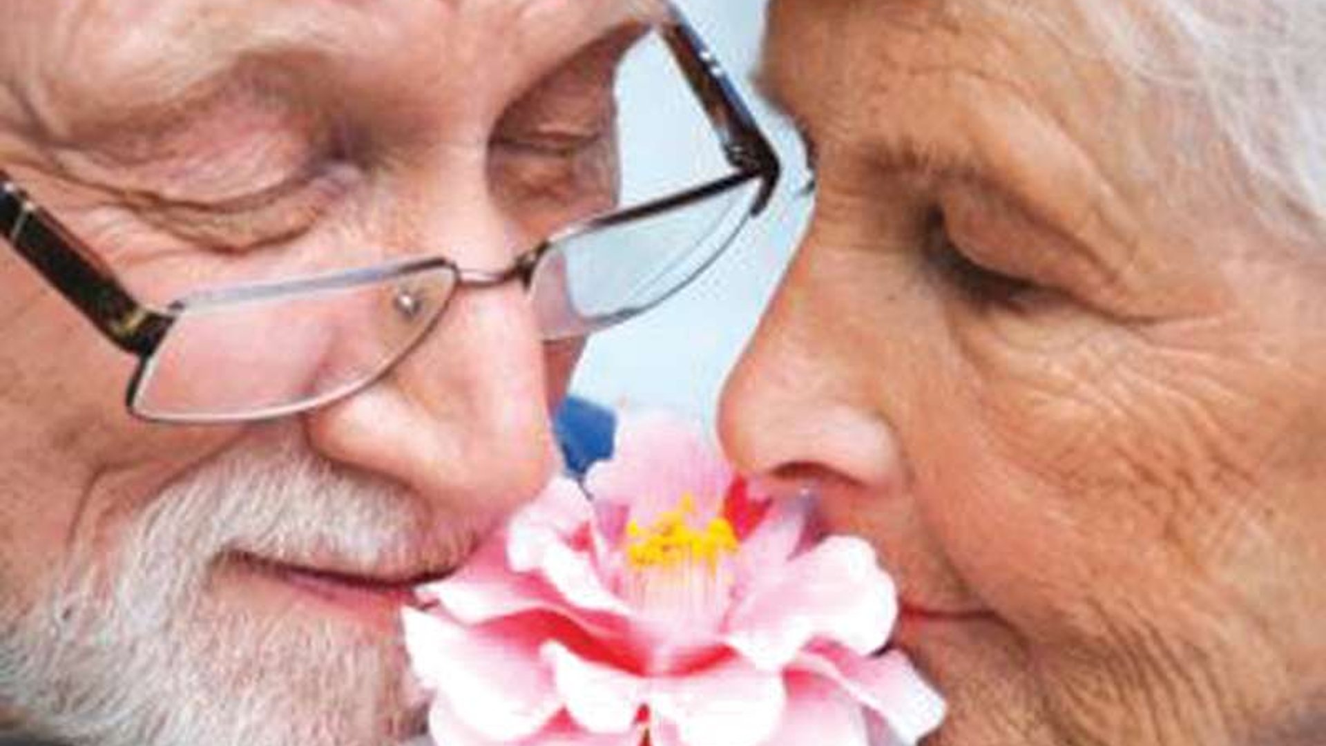 System.Collections.Generic.List`1[AFS.Common.Models.Photo] - Image 1