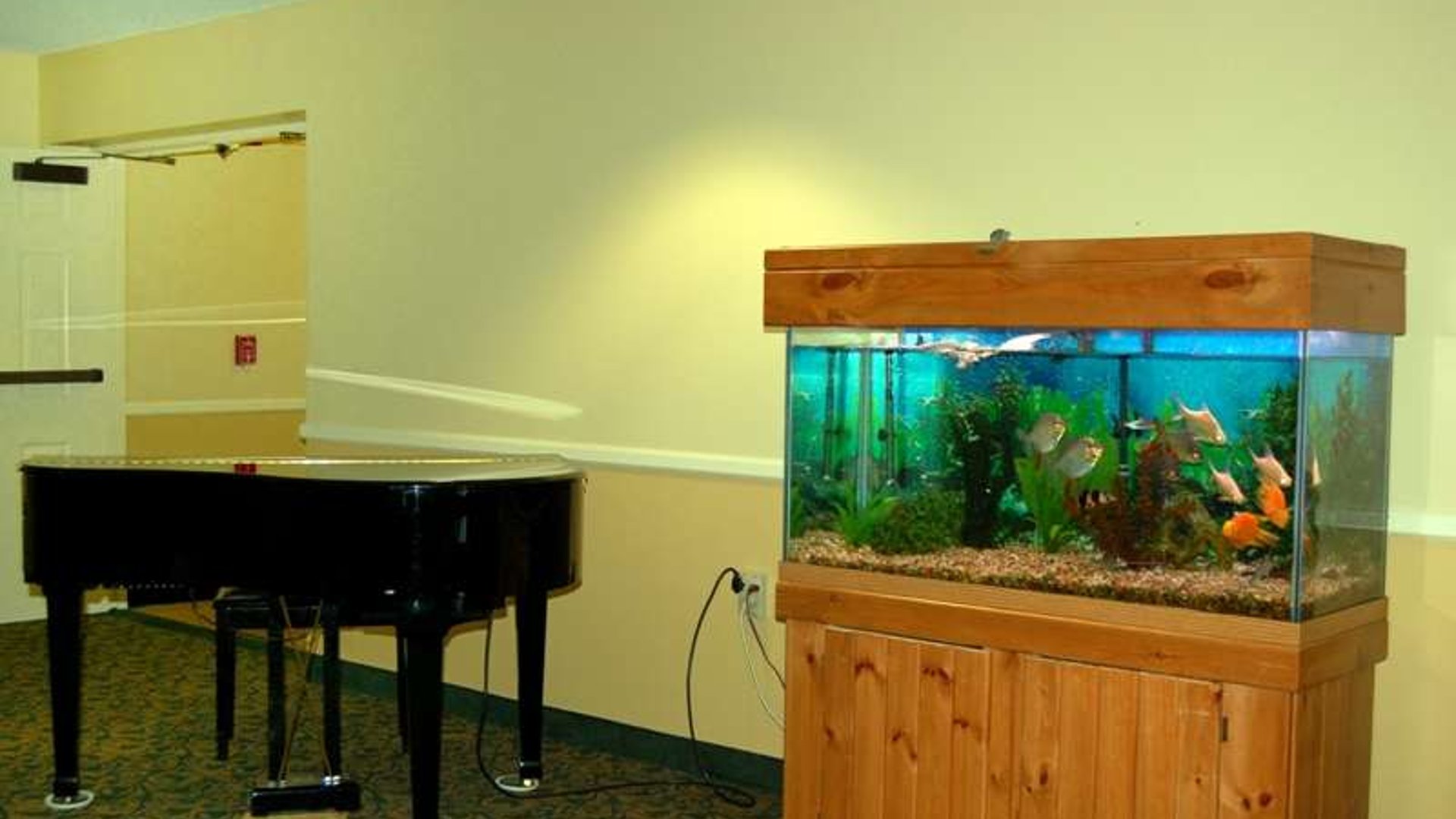 System.Collections.Generic.List`1[AFS.Common.Models.Photo] - Image 4