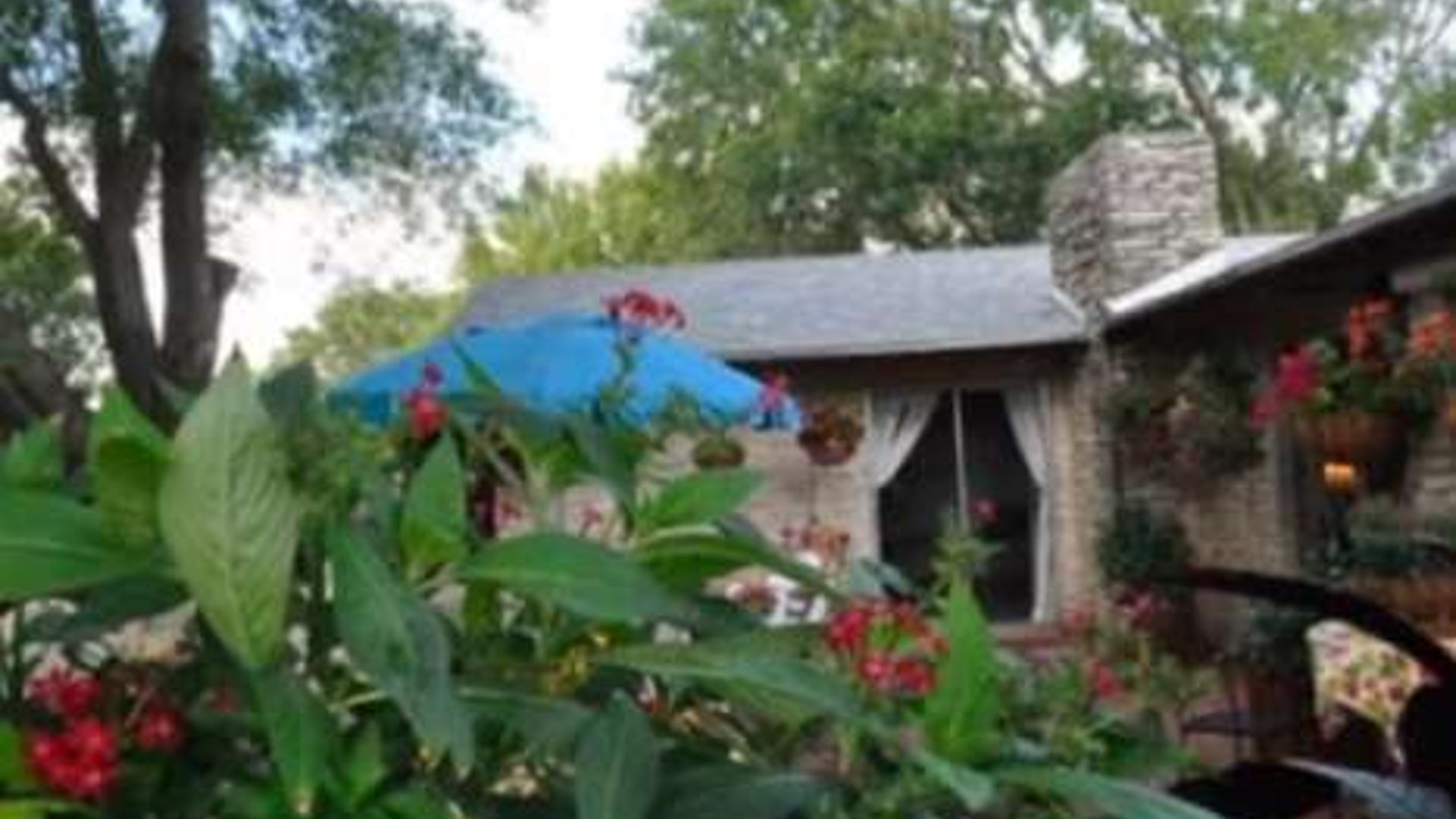 System.Collections.Generic.List`1[AFS.Common.Models.Photo] - Image 1