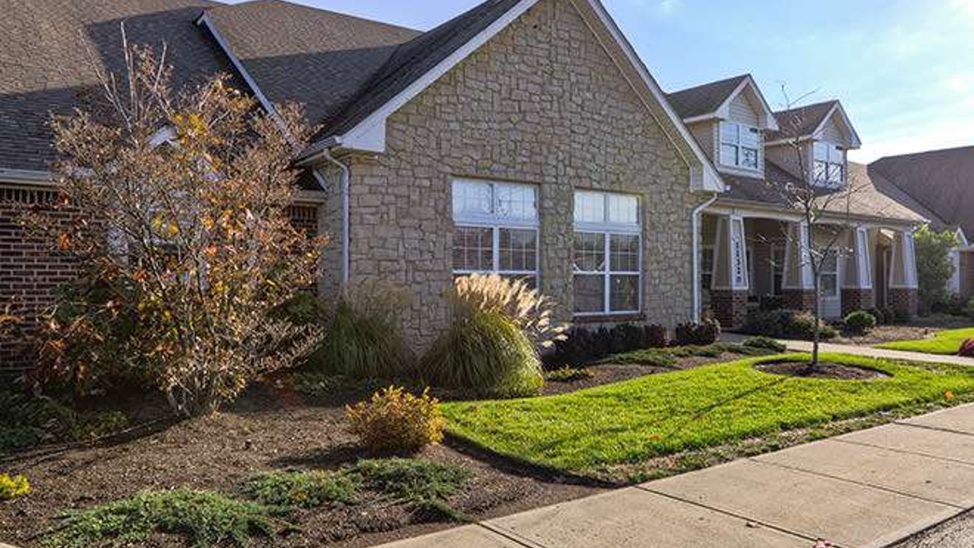 System.Collections.Generic.List`1[AFS.Common.Models.Photo] - Image 1