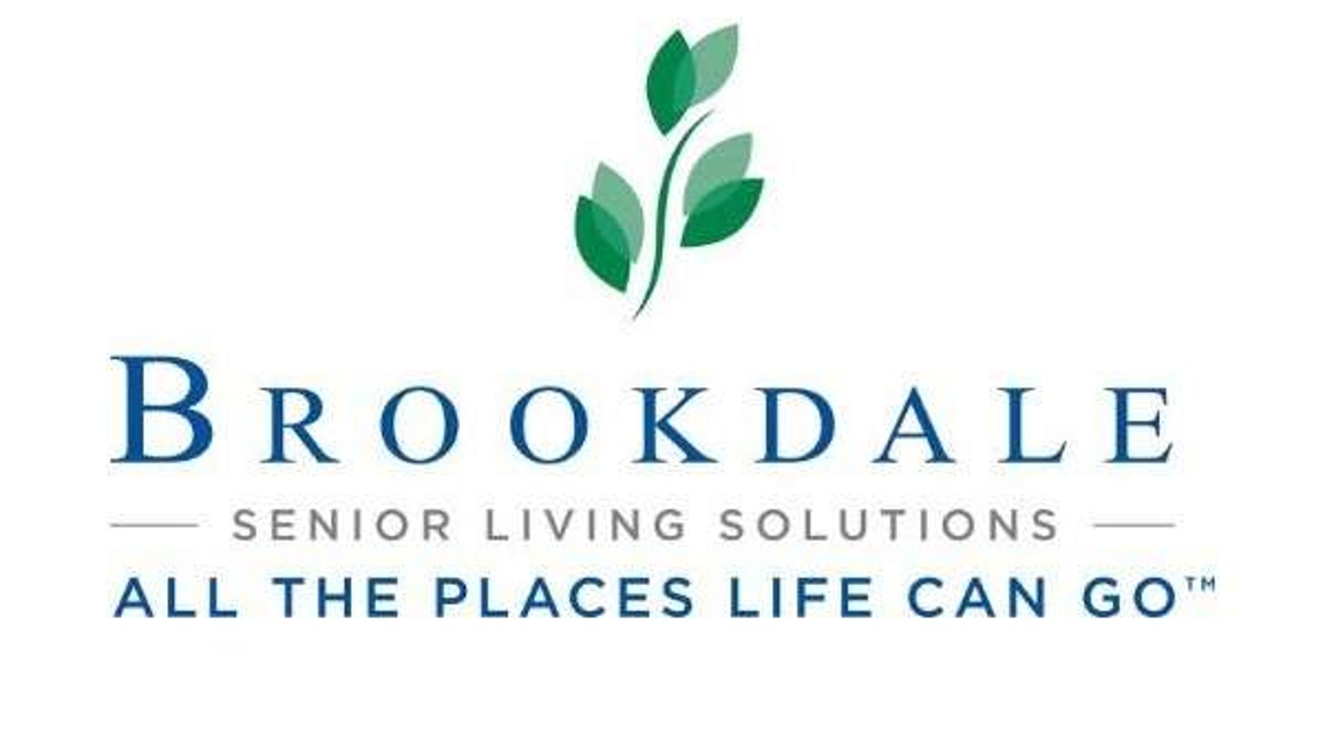 System.Collections.Generic.List`1[AFS.Common.Models.Photo] - Image 1