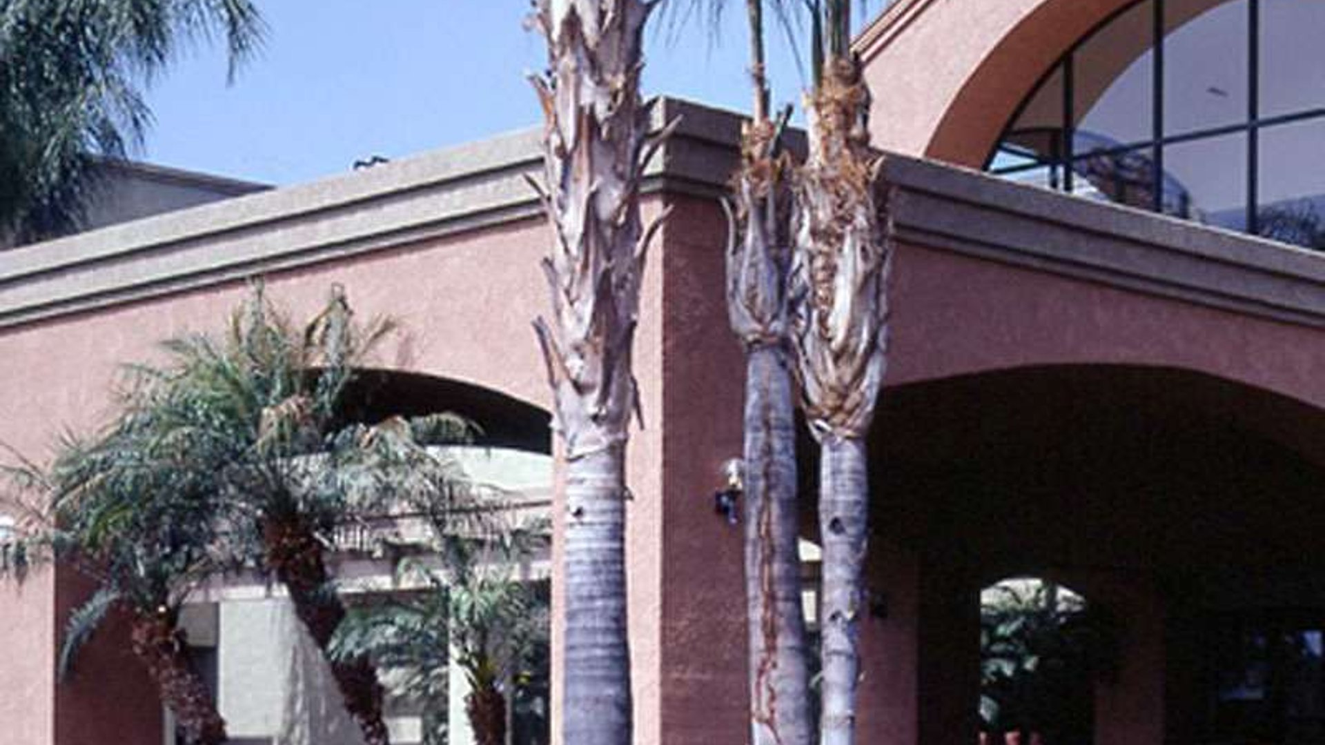 System.Collections.Generic.List`1[AFS.Common.Models.Photo] - Image 1