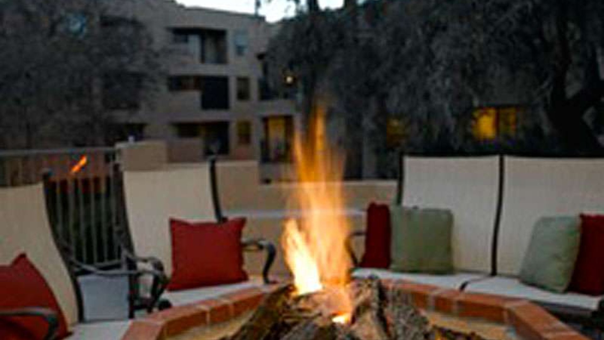 System.Collections.Generic.List`1[AFS.Common.Models.Photo] - Image 5