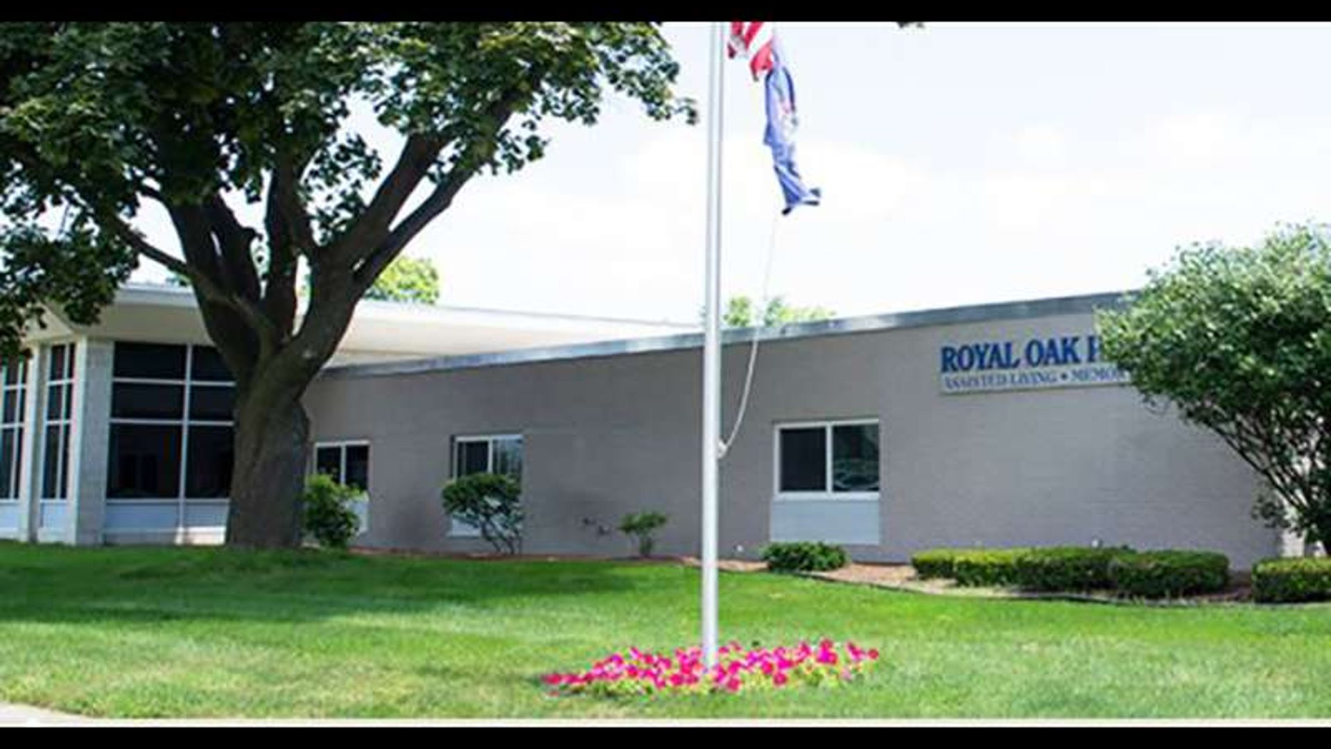 System.Collections.Generic.List`1[AFS.Common.Models.Photo] - Image 1