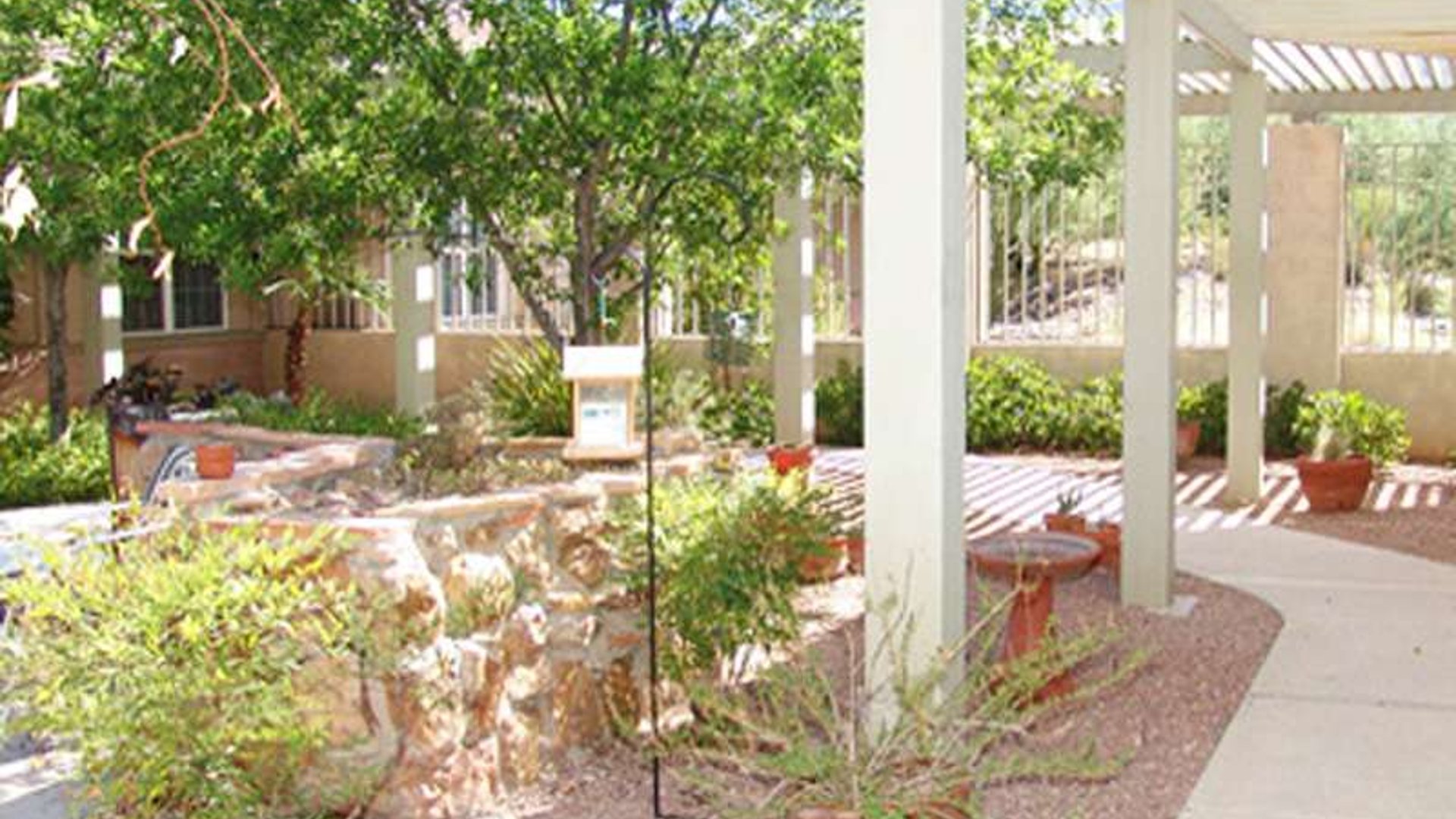 System.Collections.Generic.List`1[AFS.Common.Models.Photo] - Image 2