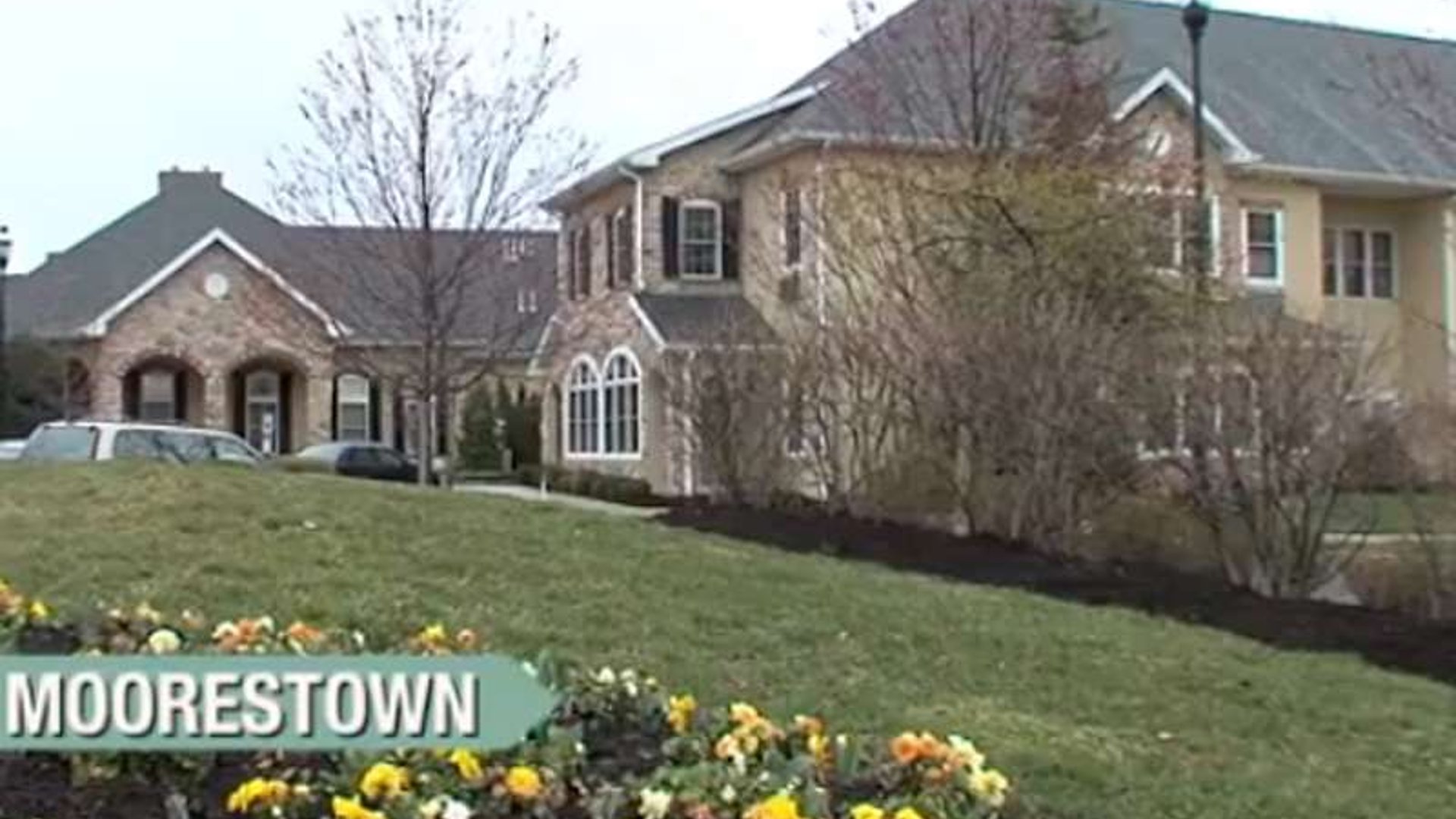 System.Collections.Generic.List`1[AFS.Common.Models.Photo] - Image 1