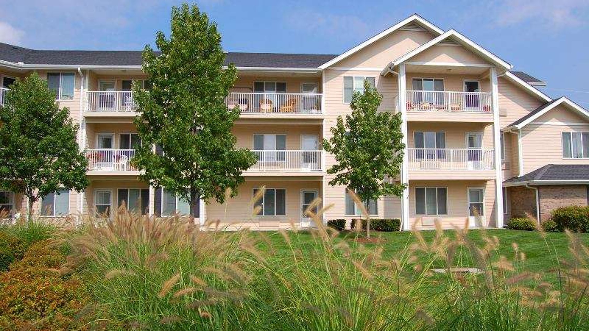 System.Collections.Generic.List`1[AFS.Common.Models.Photo] - Image 1