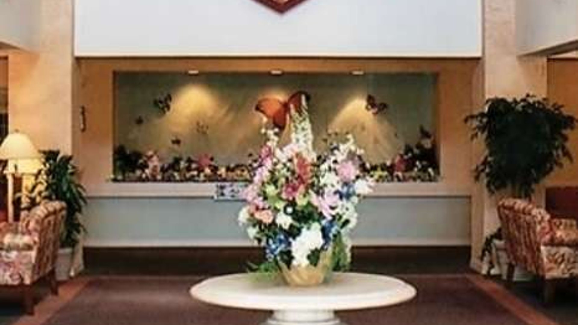 System.Collections.Generic.List`1[AFS.Common.Models.Photo] - Image 2