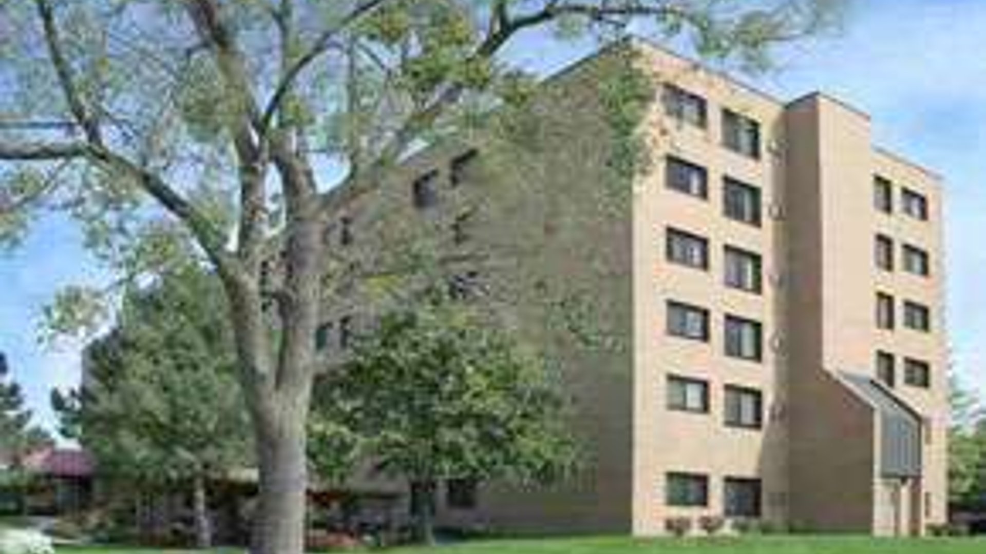 System.Collections.Generic.List`1[AFS.Common.Models.Photo] - Image 1