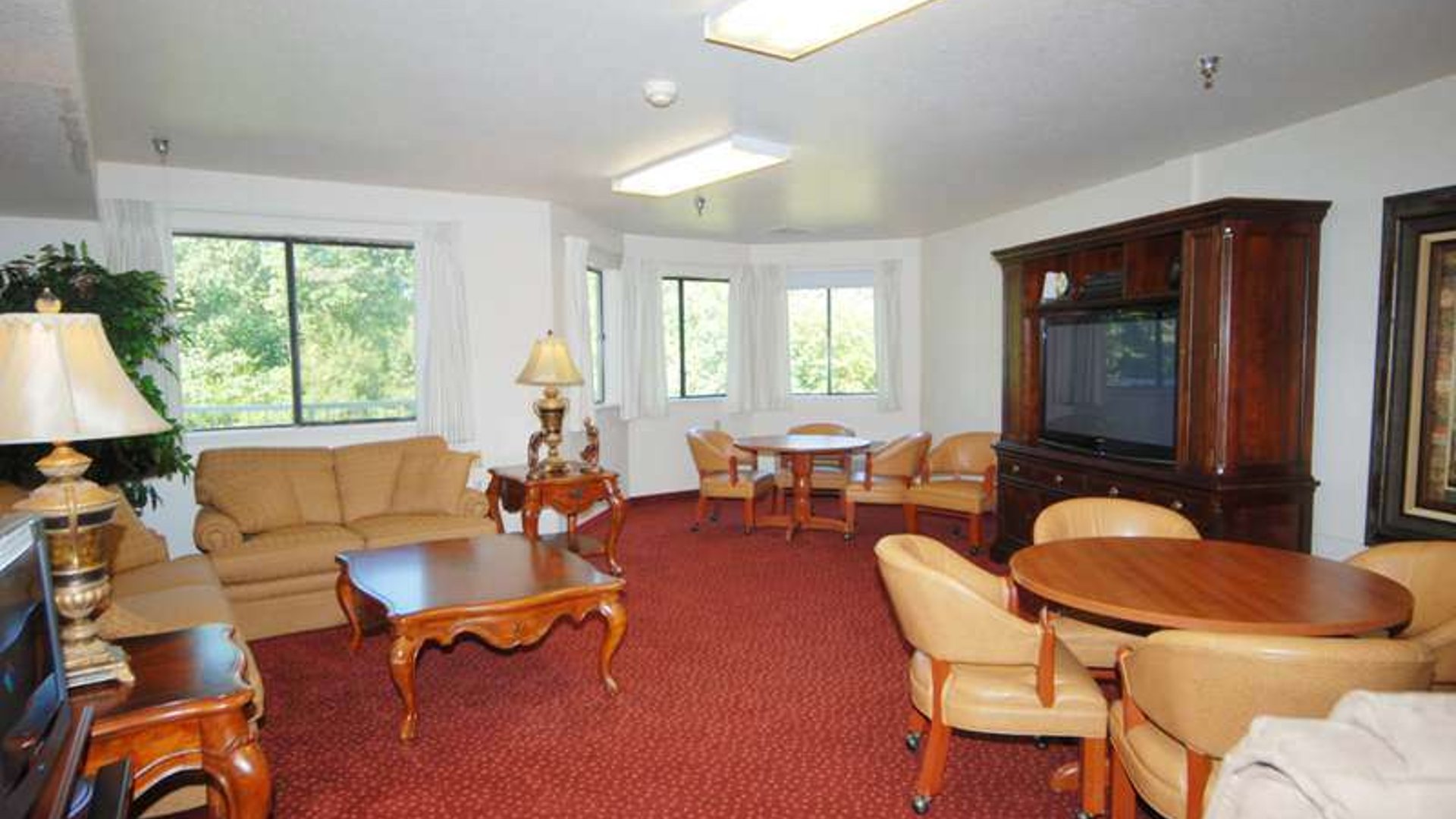 System.Collections.Generic.List`1[AFS.Common.Models.Photo] - Image 5