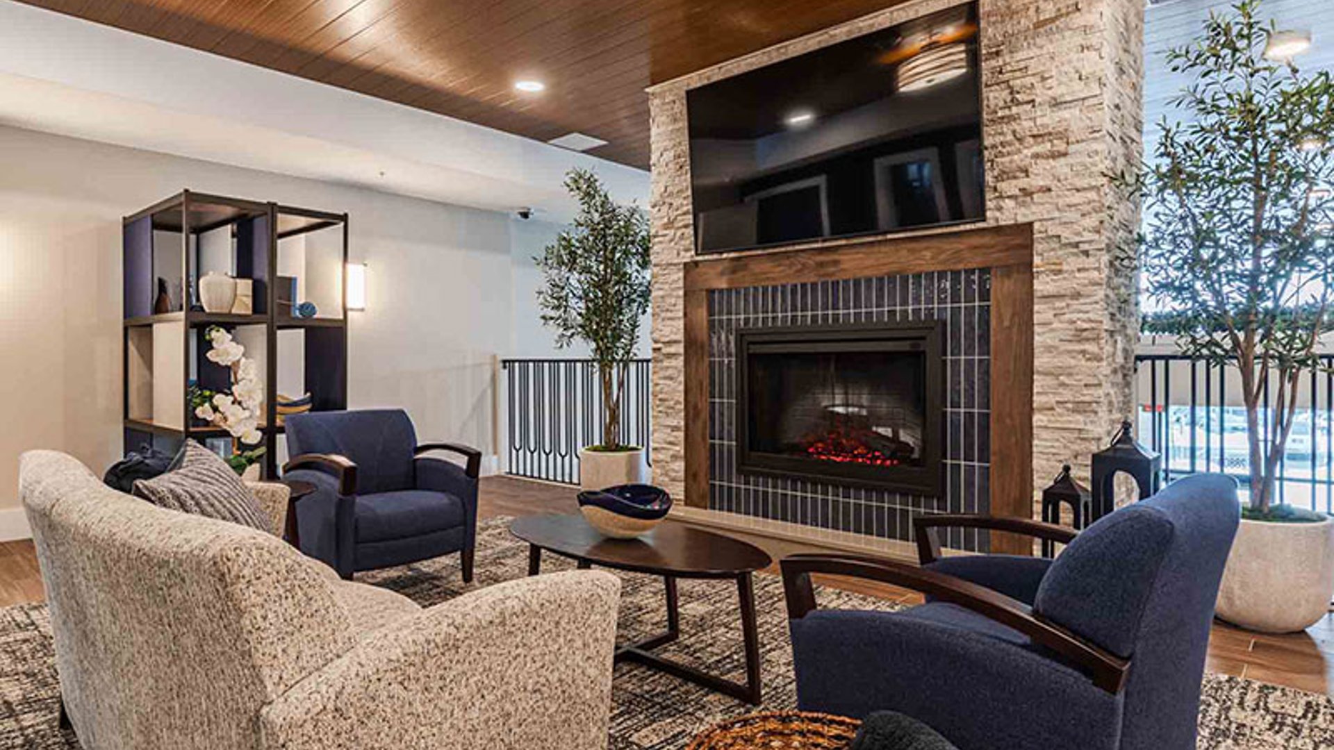 System.Collections.Generic.List`1[AFS.Common.Models.Photo] - Image 2