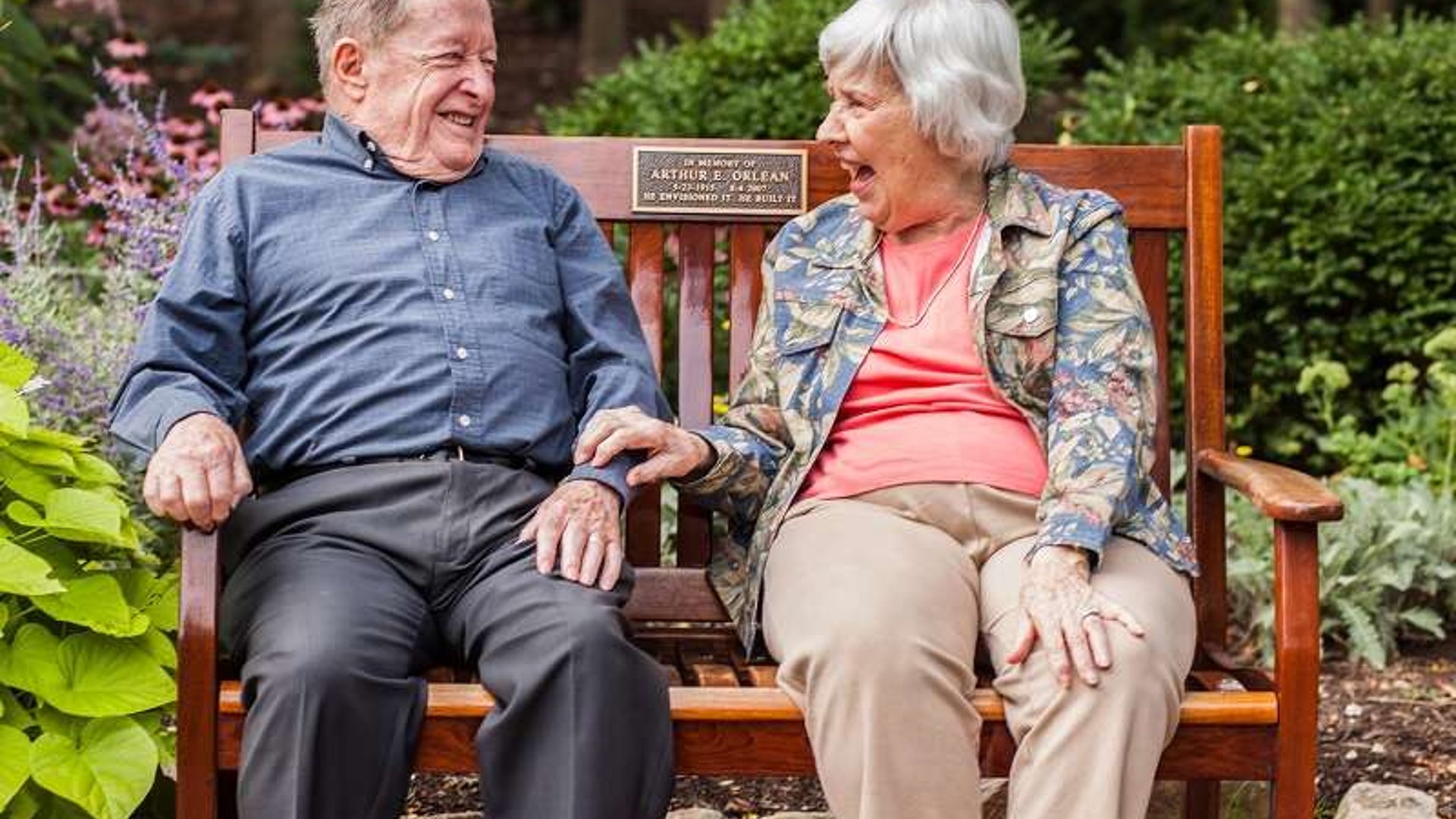 System.Collections.Generic.List`1[AFS.Common.Models.Photo] - Image 1