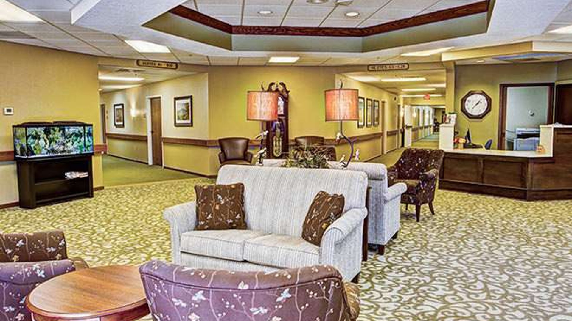 System.Collections.Generic.List`1[AFS.Common.Models.Photo] - Image 2