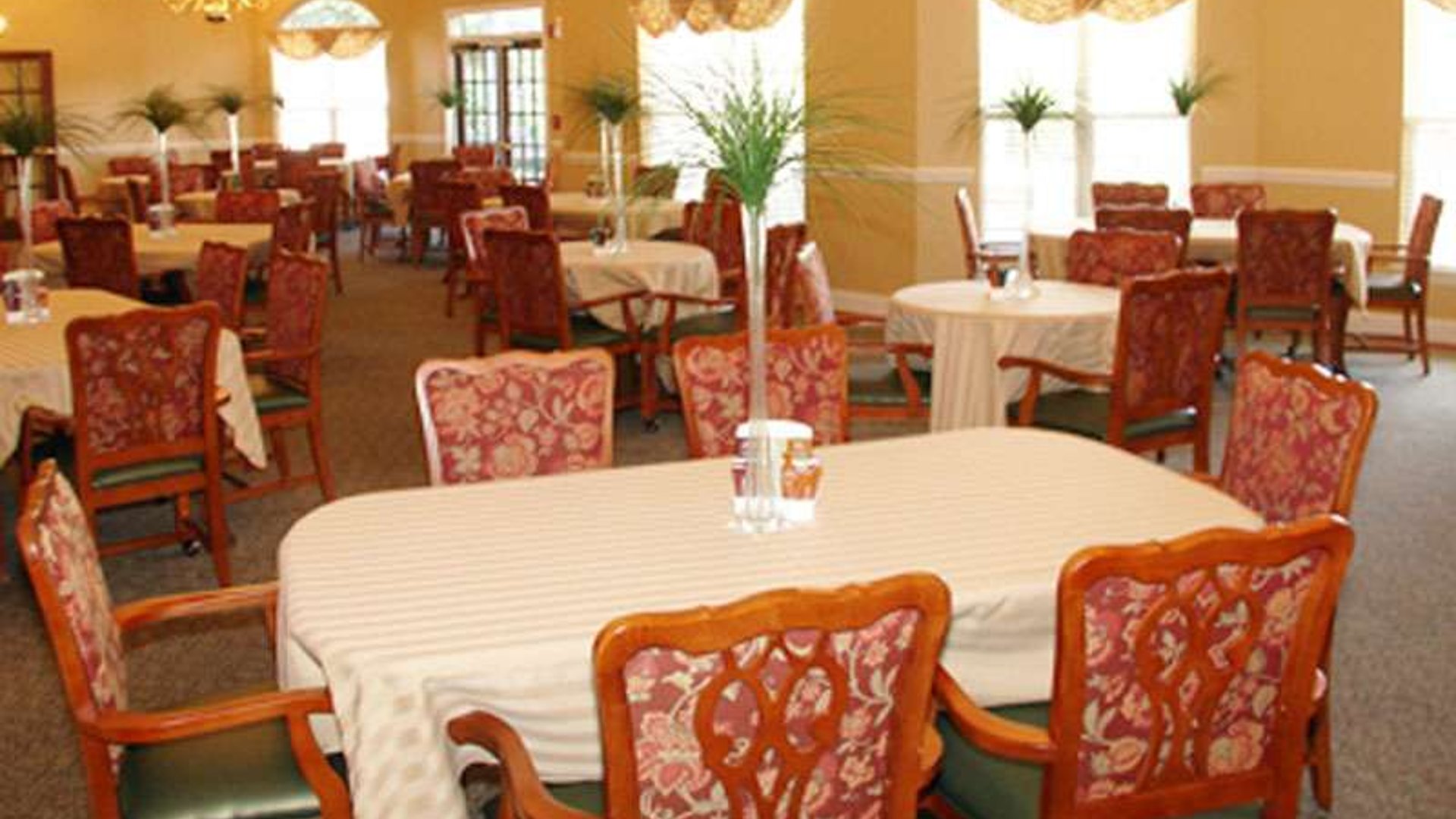 System.Collections.Generic.List`1[AFS.Common.Models.Photo] - Image 2