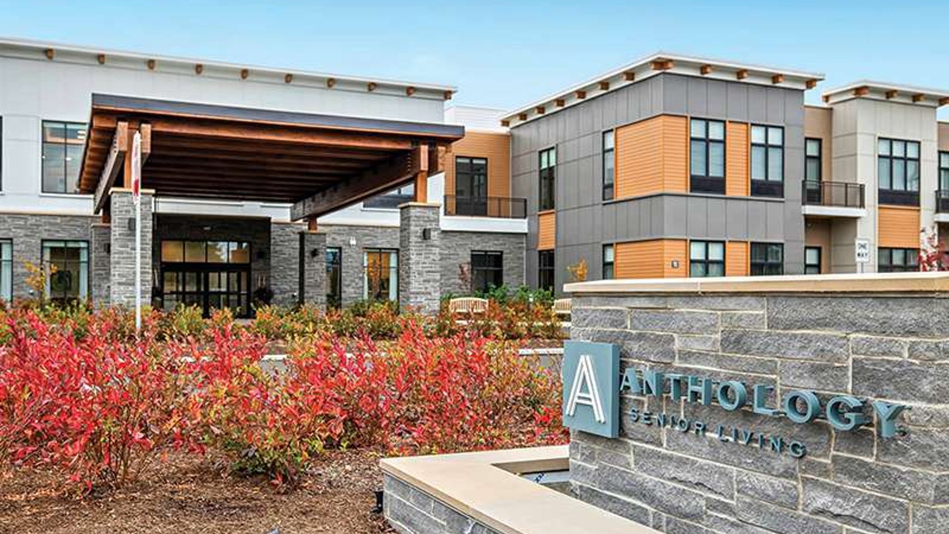 System.Collections.Generic.List`1[AFS.Common.Models.Photo] - Image 1