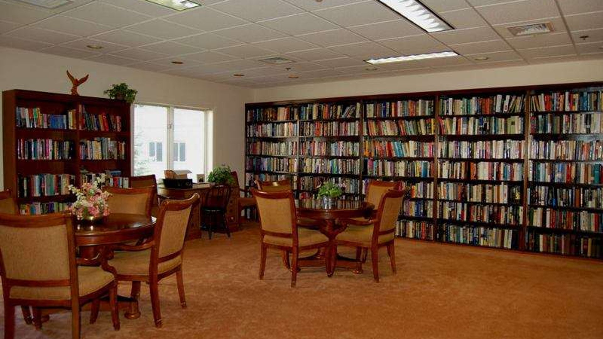 System.Collections.Generic.List`1[AFS.Common.Models.Photo] - Image 3