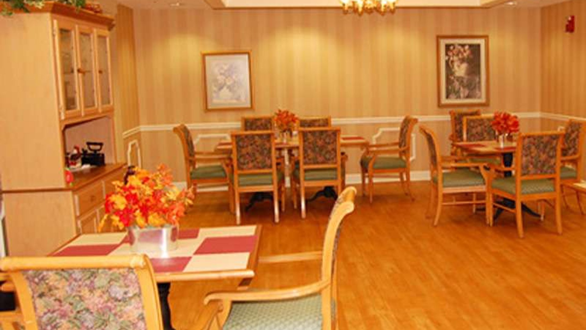 System.Collections.Generic.List`1[AFS.Common.Models.Photo] - Image 4