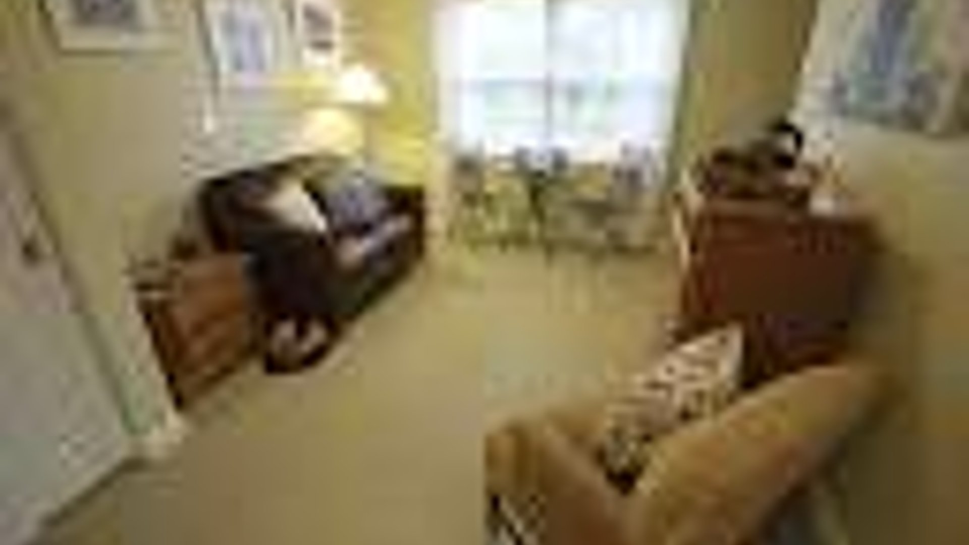 System.Collections.Generic.List`1[AFS.Common.Models.Photo] - Image 5