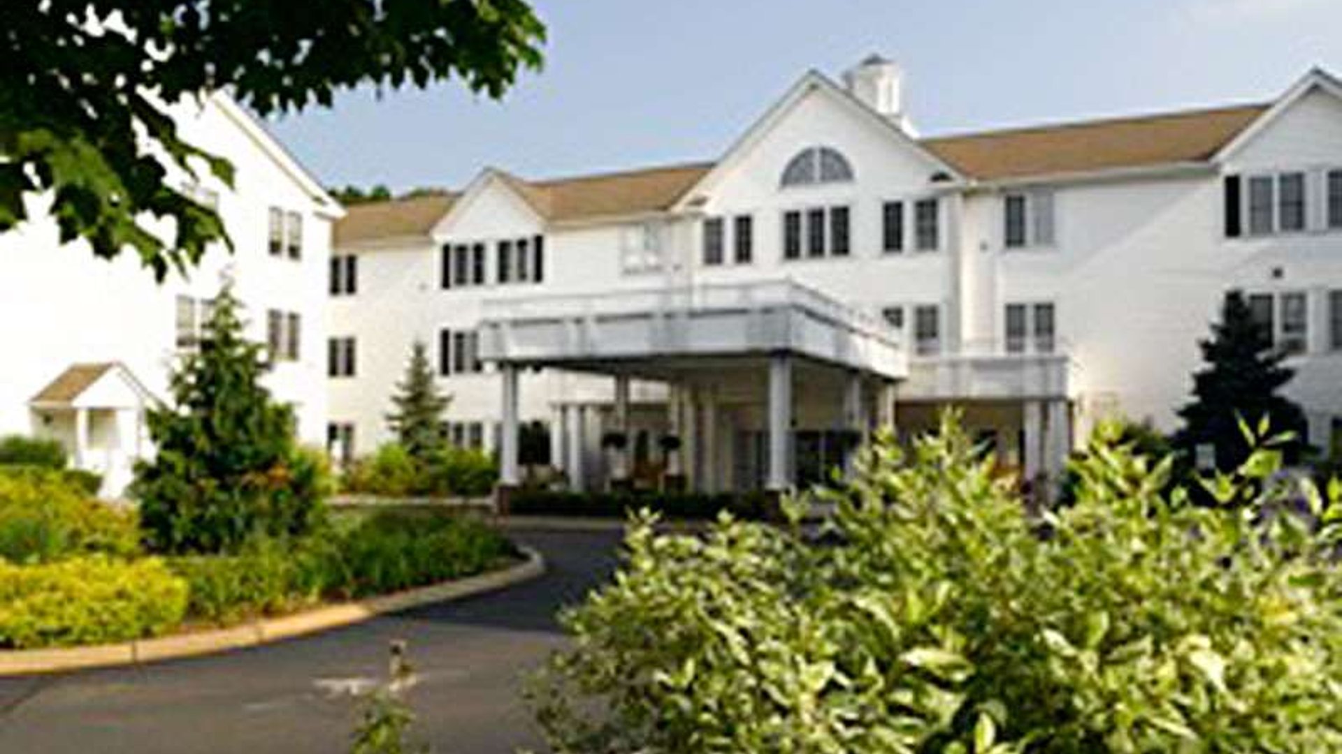 System.Collections.Generic.List`1[AFS.Common.Models.Photo] - Image 4