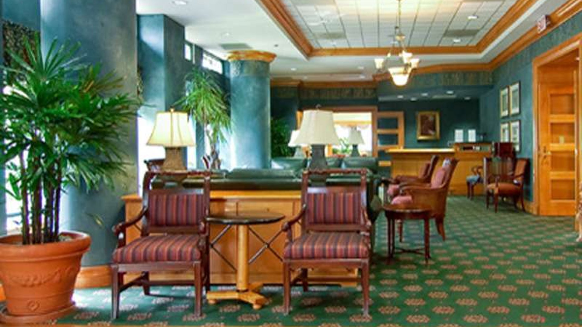 System.Collections.Generic.List`1[AFS.Common.Models.Photo] - Image 2