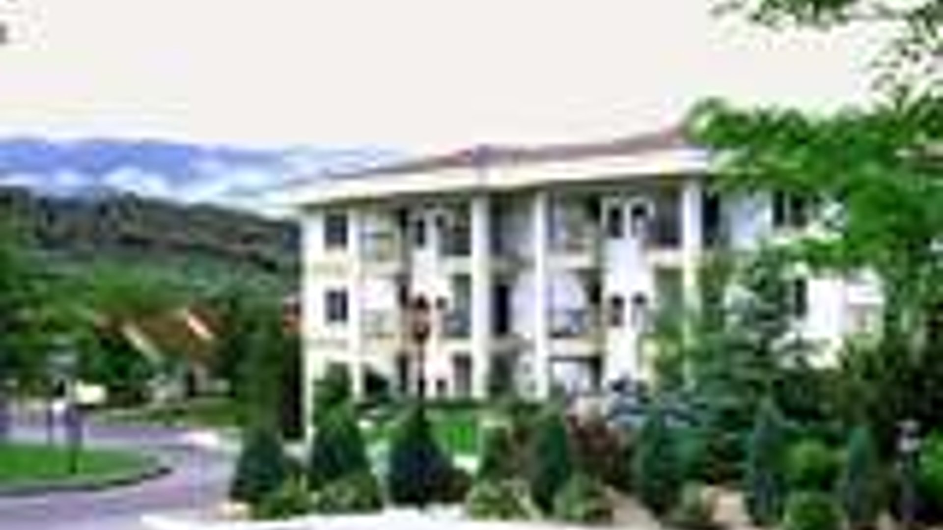 System.Collections.Generic.List`1[AFS.Common.Models.Photo] - Image 1