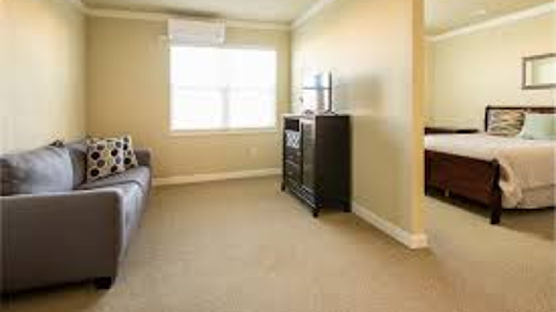 System.Collections.Generic.List`1[AFS.Common.Models.Photo] - Image 3