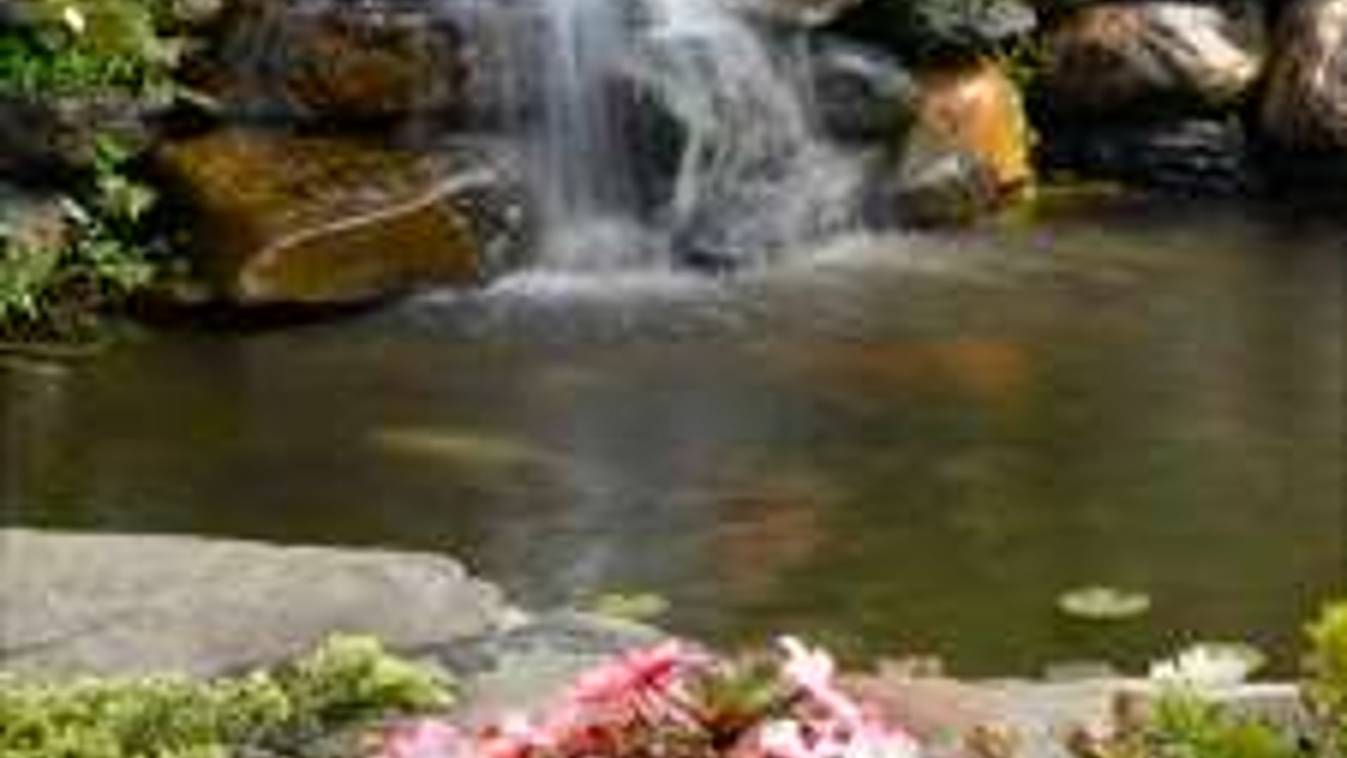 System.Collections.Generic.List`1[AFS.Common.Models.Photo] - Image 1