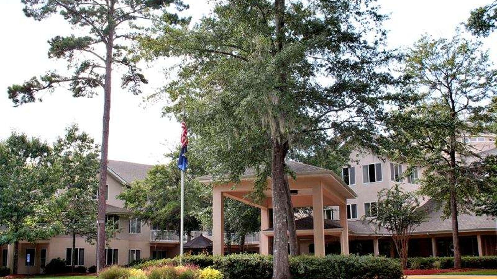 System.Collections.Generic.List`1[AFS.Common.Models.Photo] - Image 1