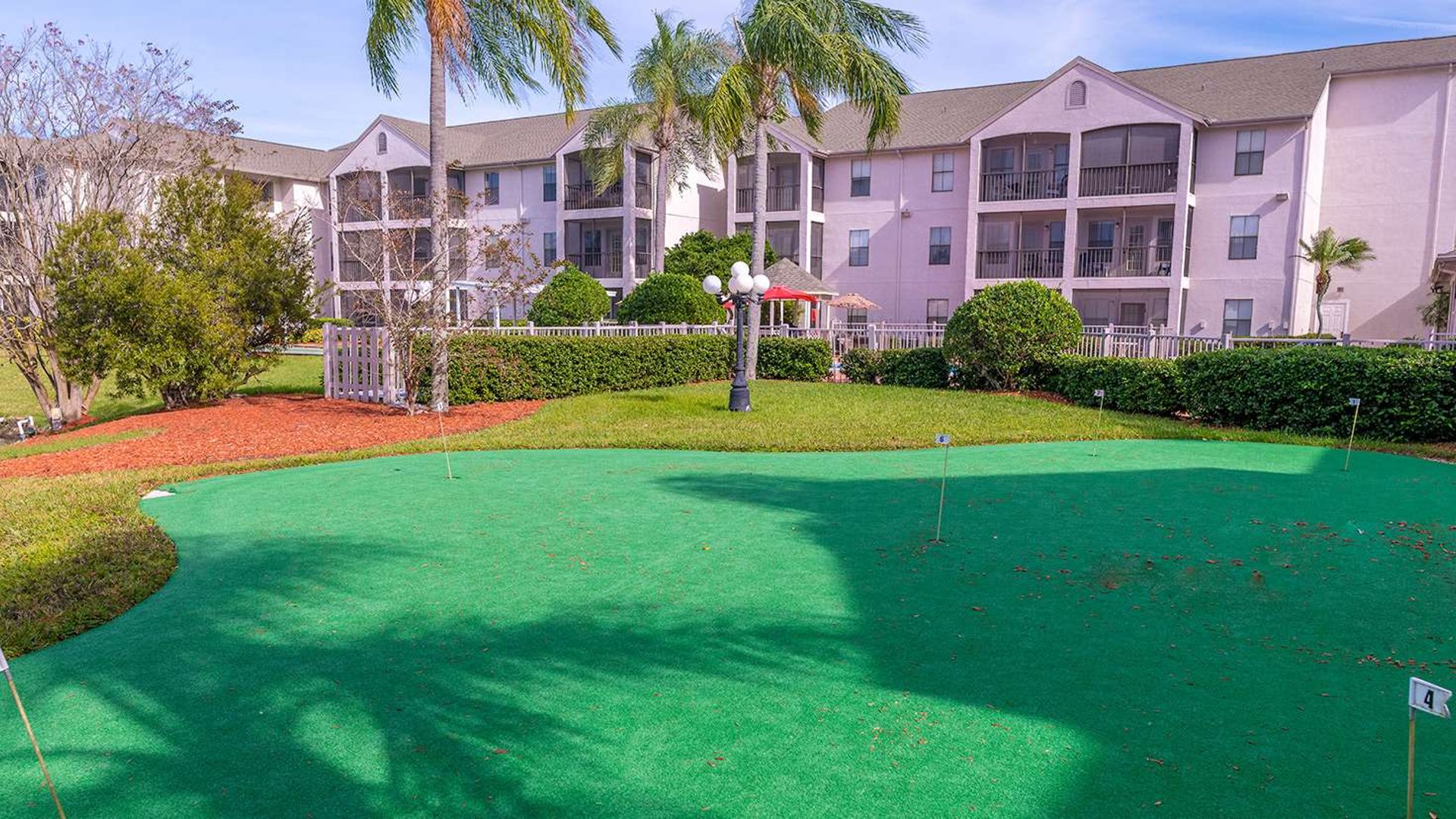 System.Collections.Generic.List`1[AFS.Common.Models.Photo] - Image 2