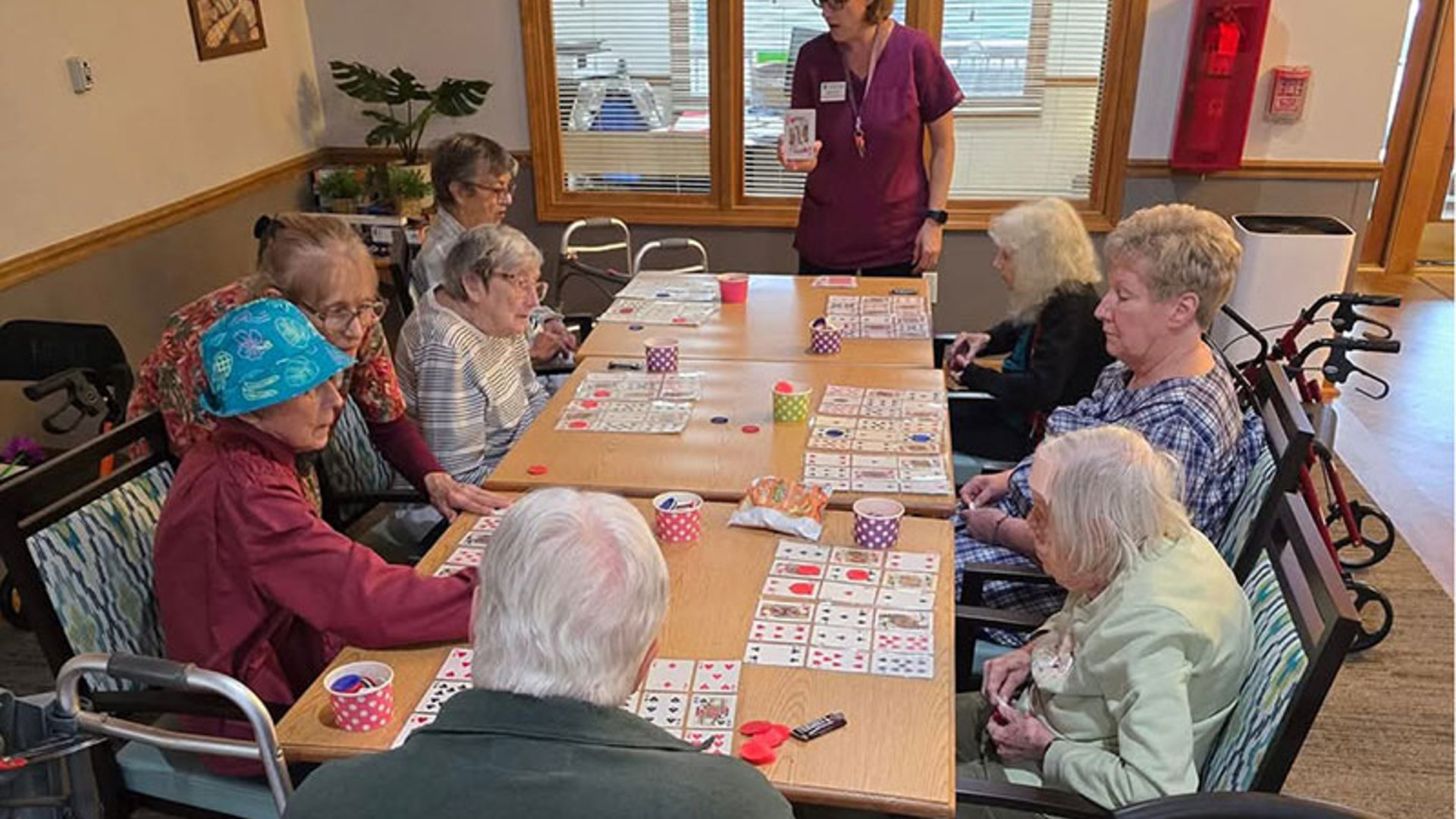 System.Collections.Generic.List`1[AFS.Common.Models.Photo] - Image 5