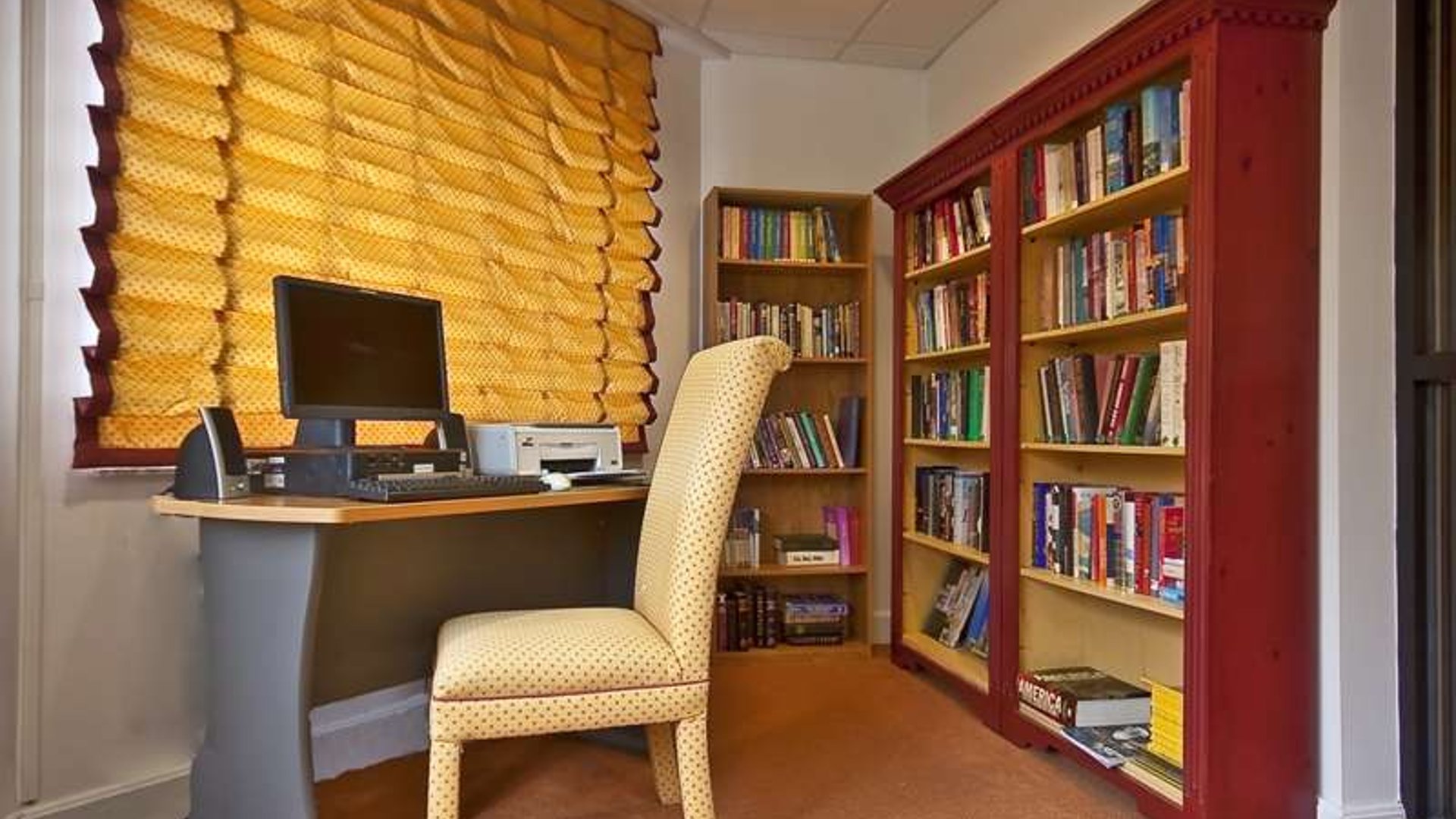 System.Collections.Generic.List`1[AFS.Common.Models.Photo] - Image 4