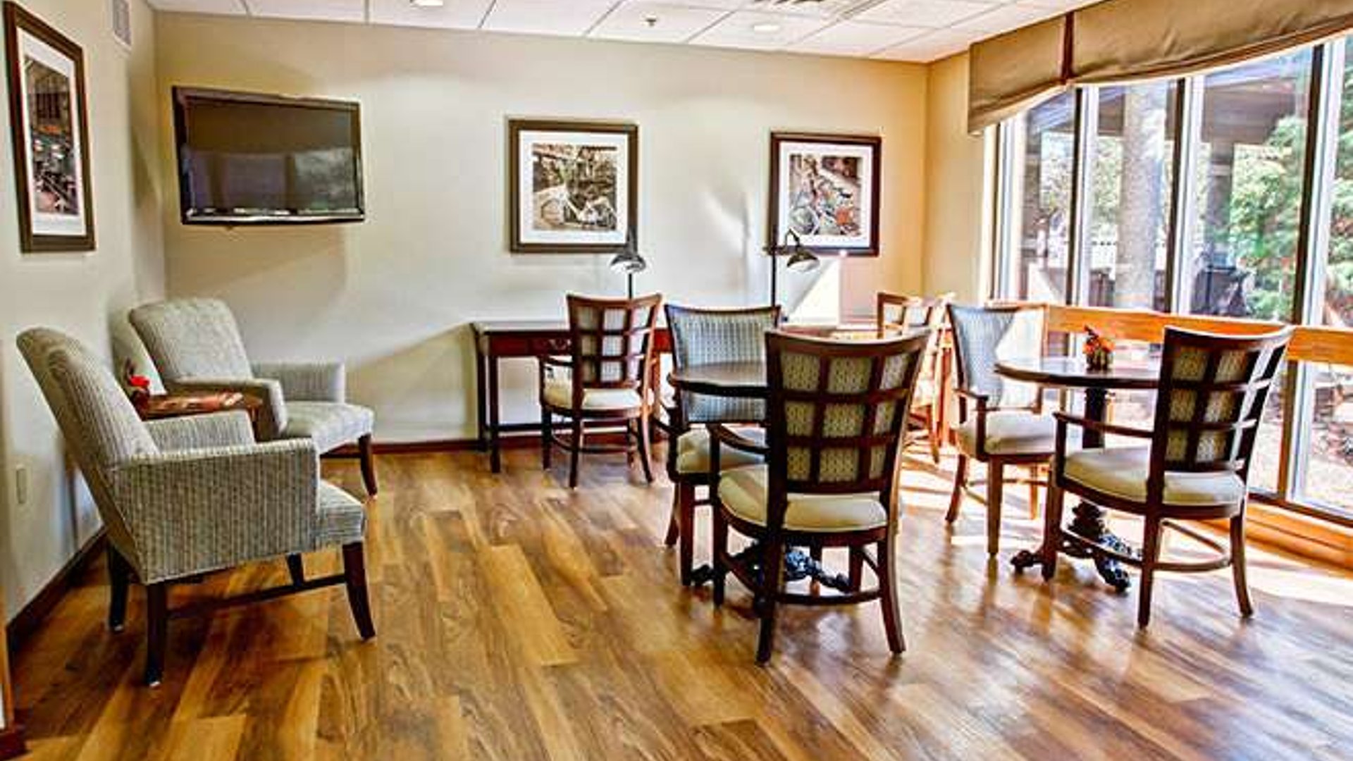 System.Collections.Generic.List`1[AFS.Common.Models.Photo] - Image 5